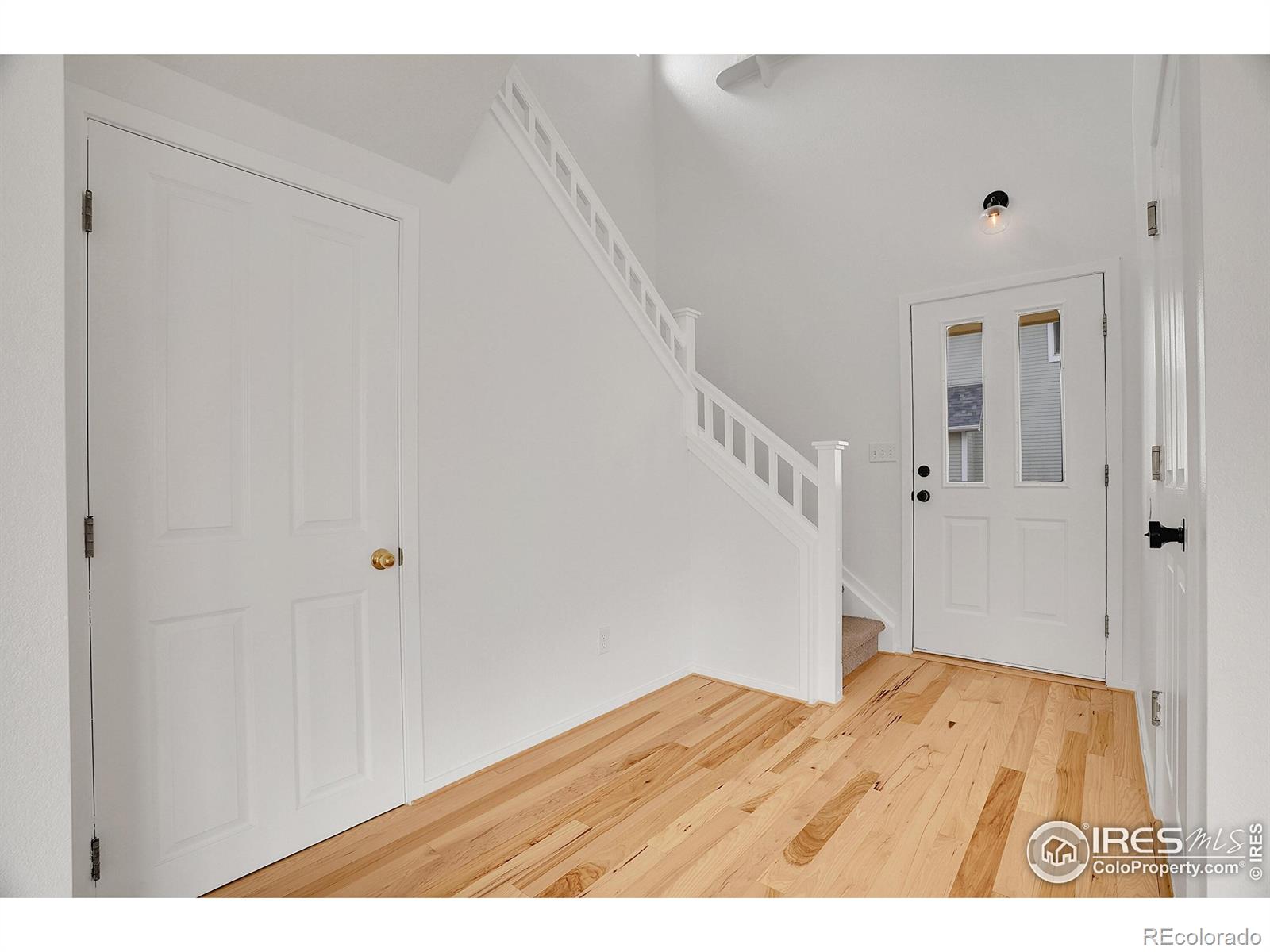MLS Image #4 for 740  boxwood lane,longmont, Colorado