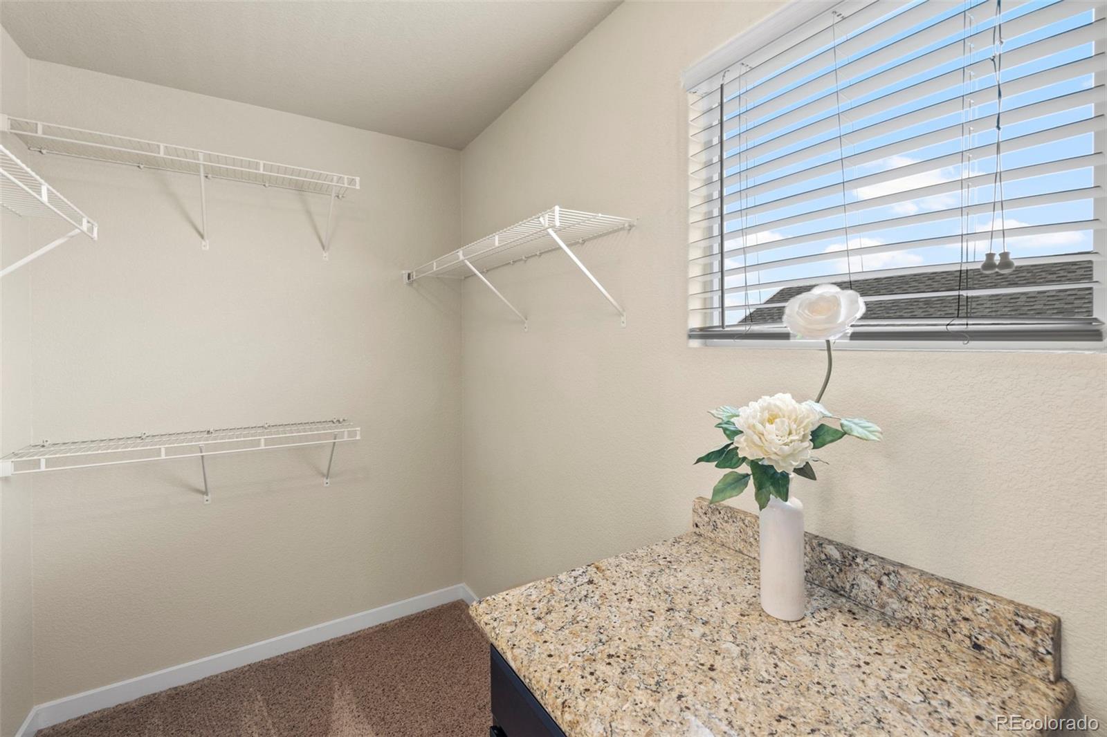 MLS Image #16 for 10414  declaration drive,colorado springs, Colorado