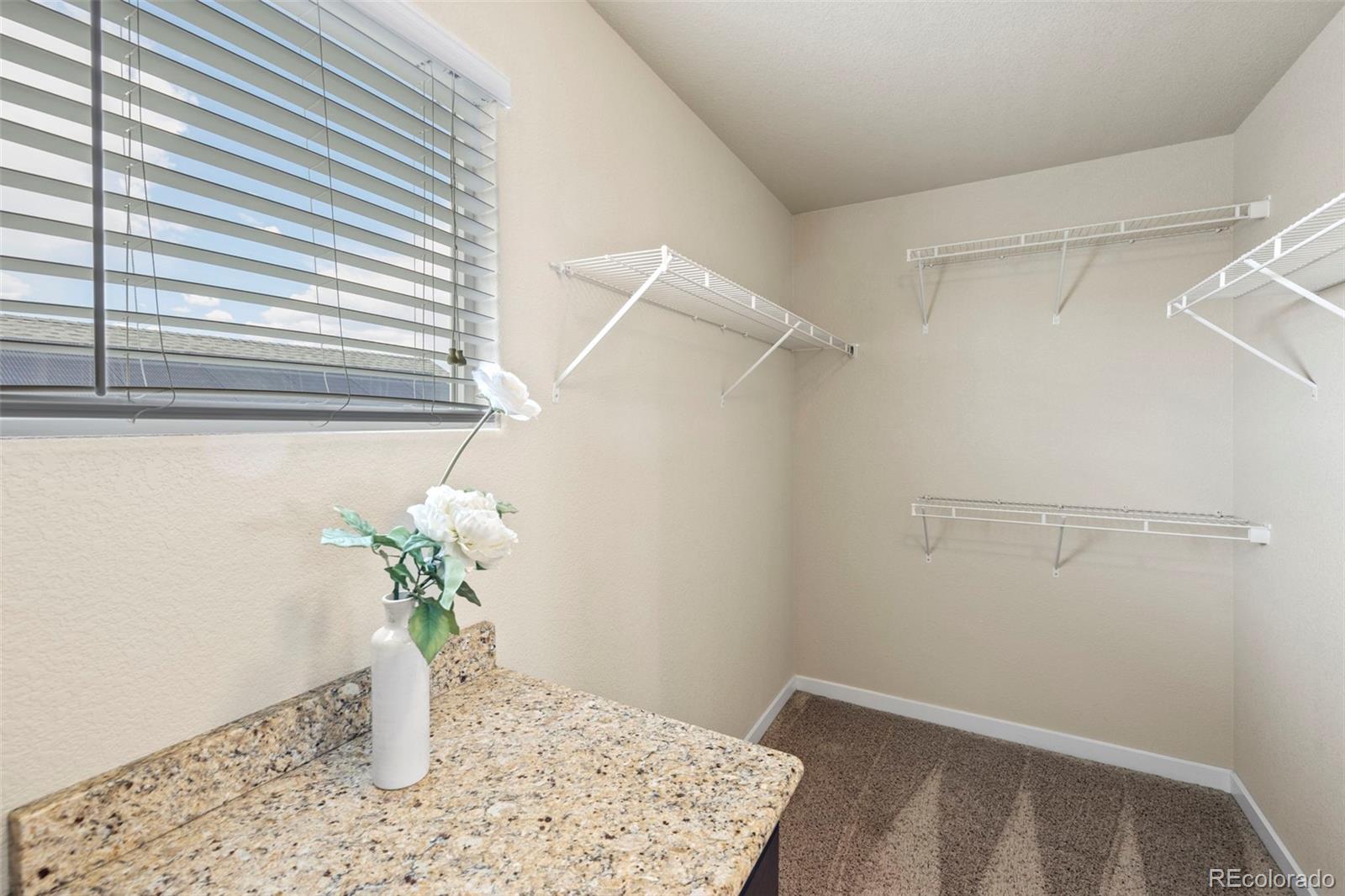 MLS Image #17 for 10414  declaration drive,colorado springs, Colorado