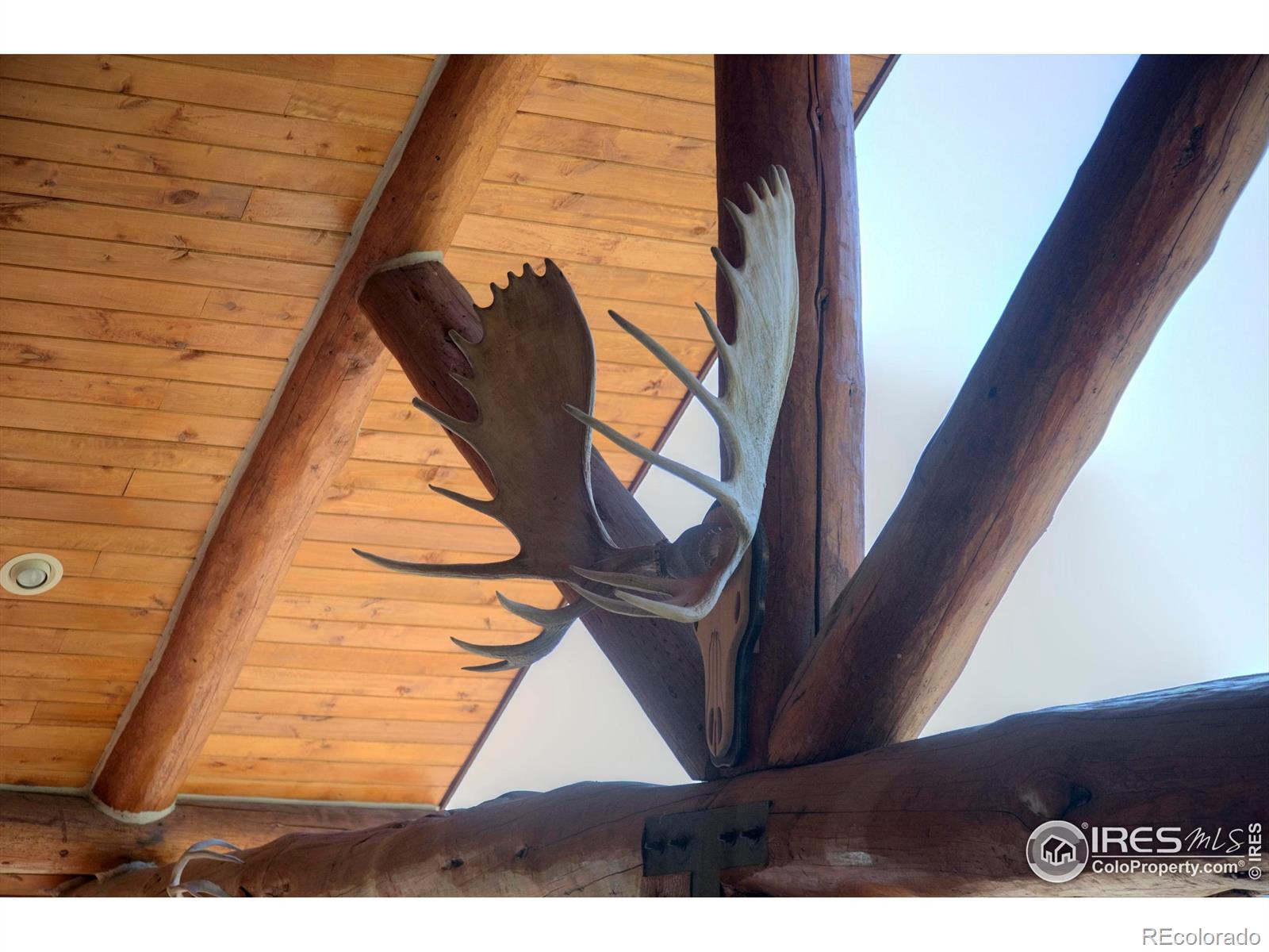 MLS Image #12 for 12547  county road 43 ,drake, Colorado