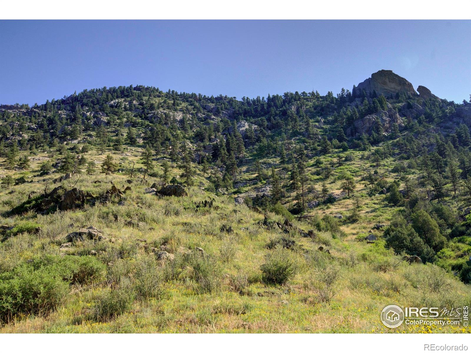 MLS Image #14 for 12547  county road 43 ,drake, Colorado