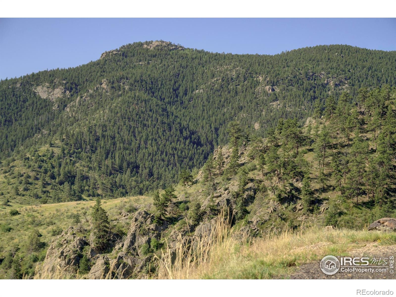 MLS Image #19 for 12547  county road 43 ,drake, Colorado