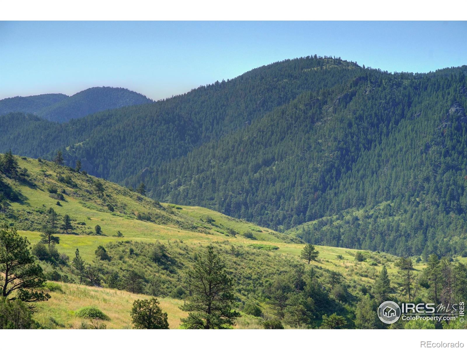 MLS Image #20 for 12547  county road 43 ,drake, Colorado