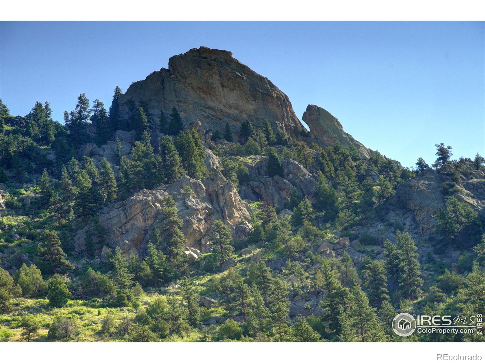 MLS Image #21 for 12547  county road 43 ,drake, Colorado