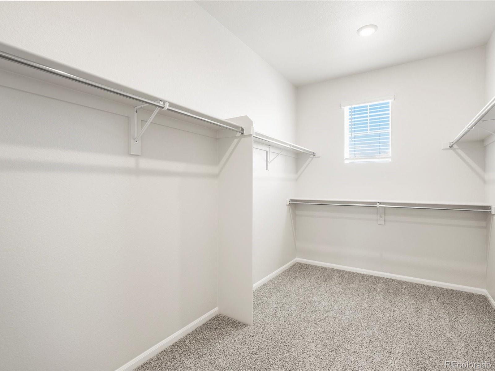 MLS Image #37 for 1612  colorado river drive,windsor, Colorado