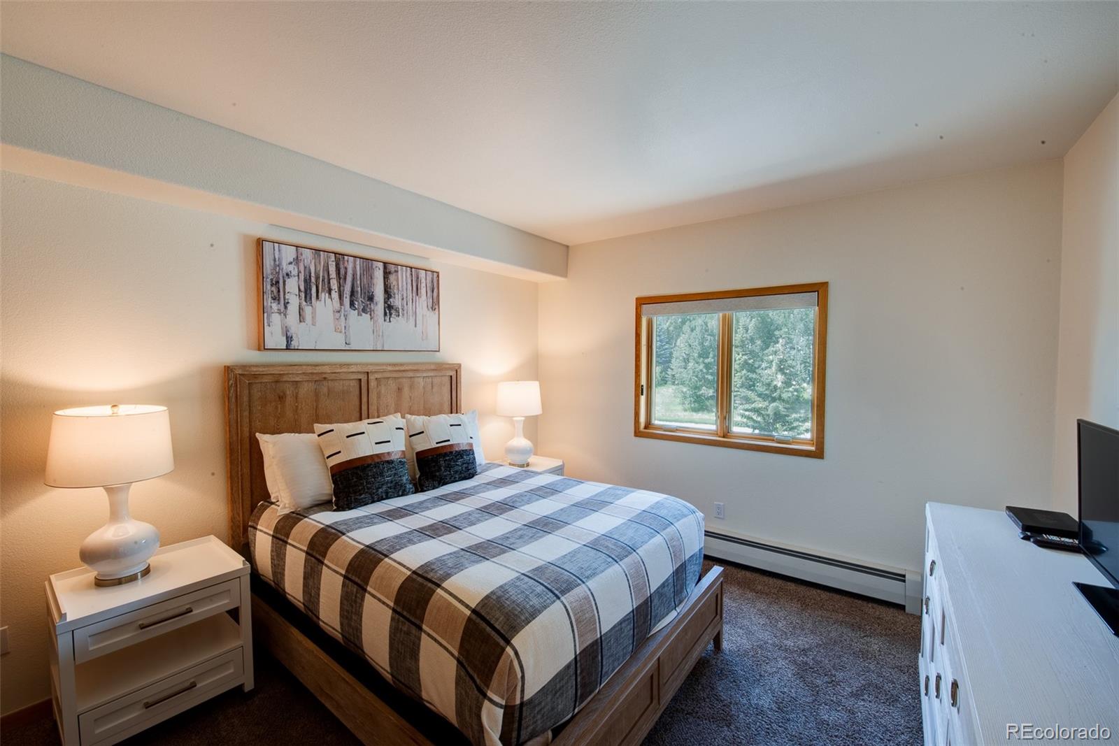 MLS Image #30 for 23110  us highway 6  5040,keystone, Colorado