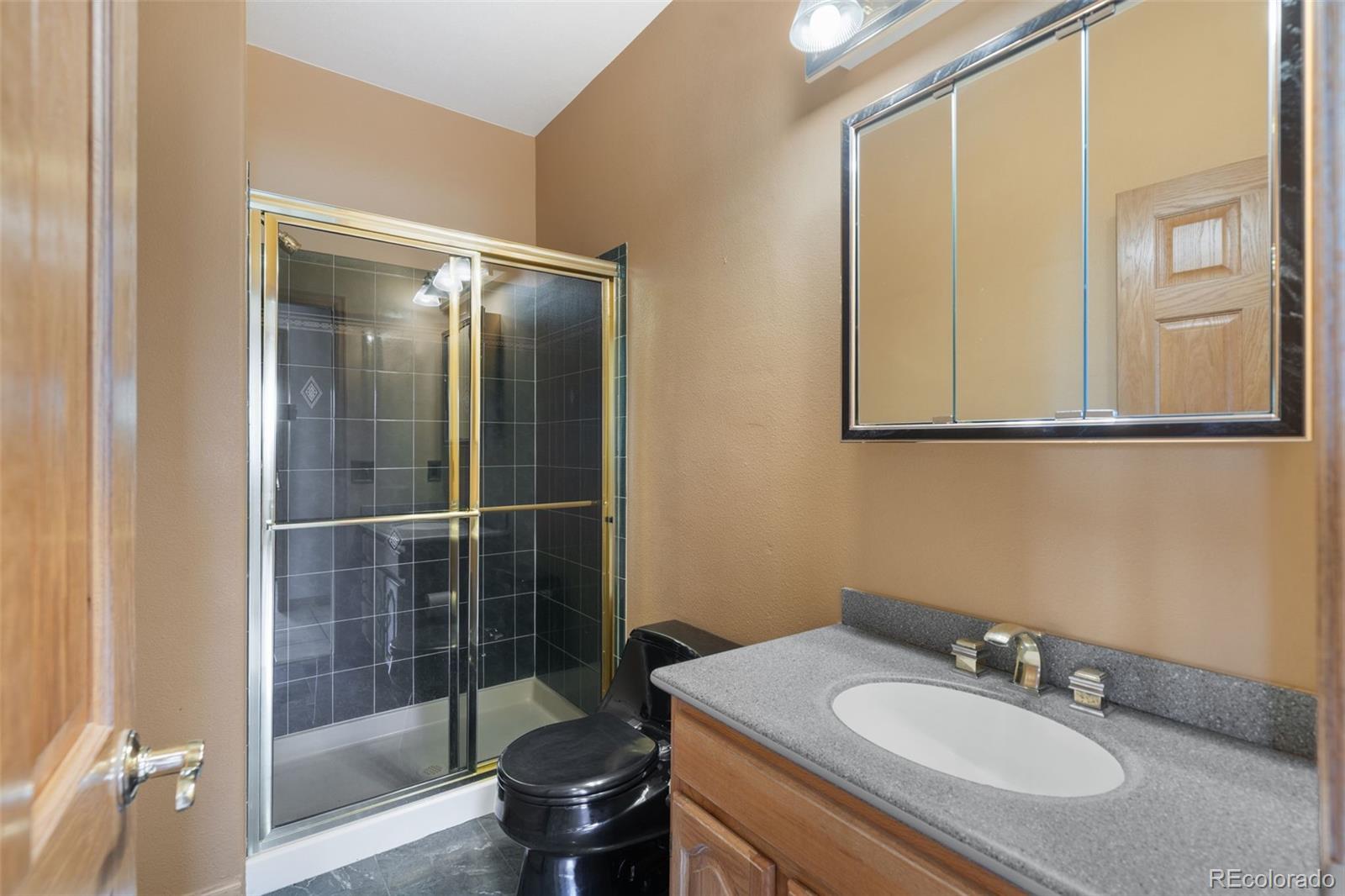 MLS Image #19 for 1680  elk view road,larkspur, Colorado