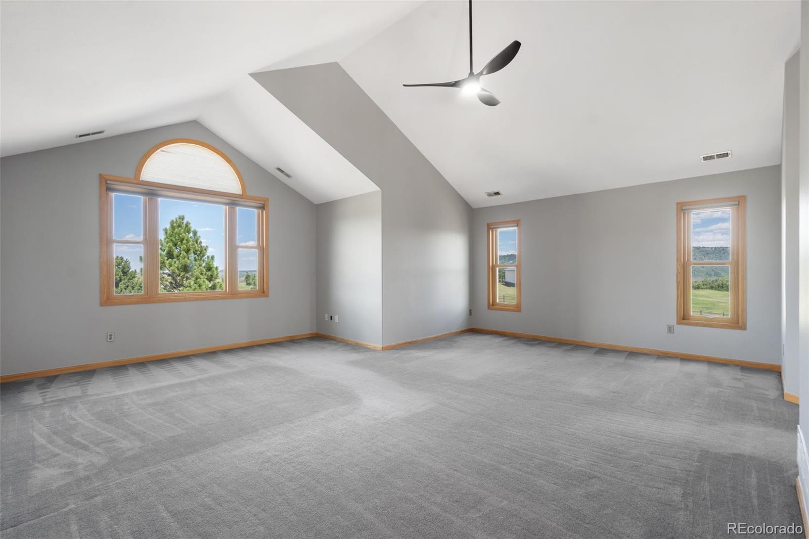 MLS Image #20 for 1680  elk view road,larkspur, Colorado