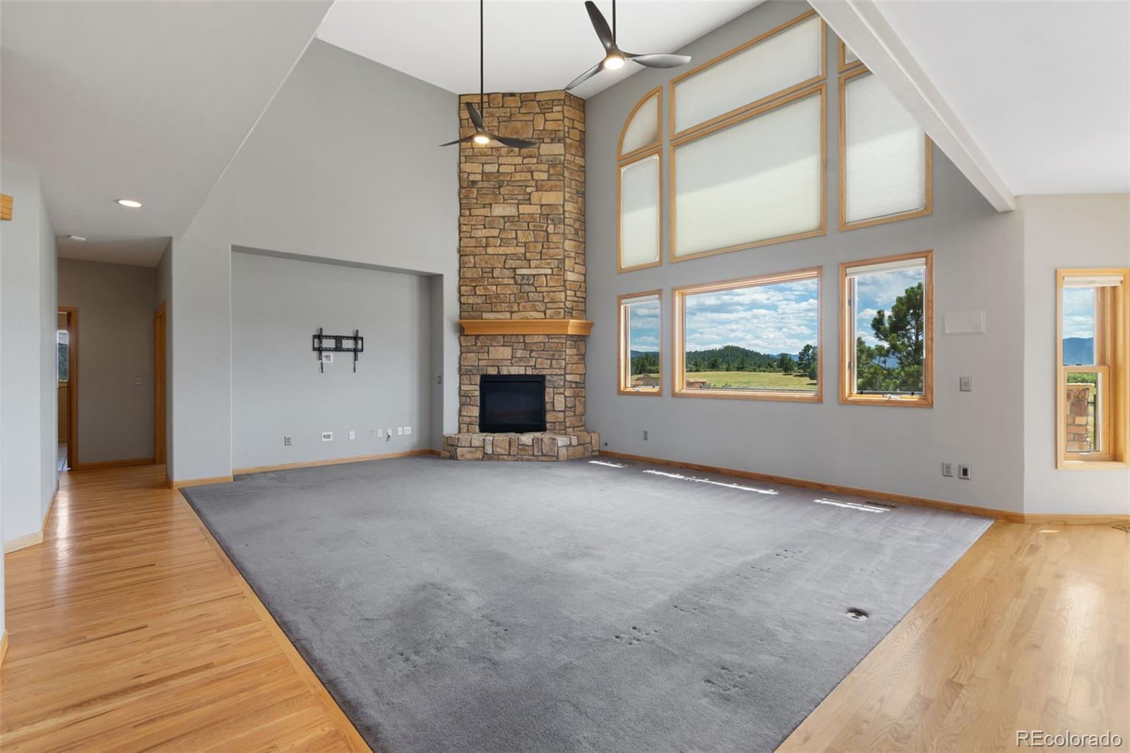 MLS Image #6 for 1680  elk view road,larkspur, Colorado