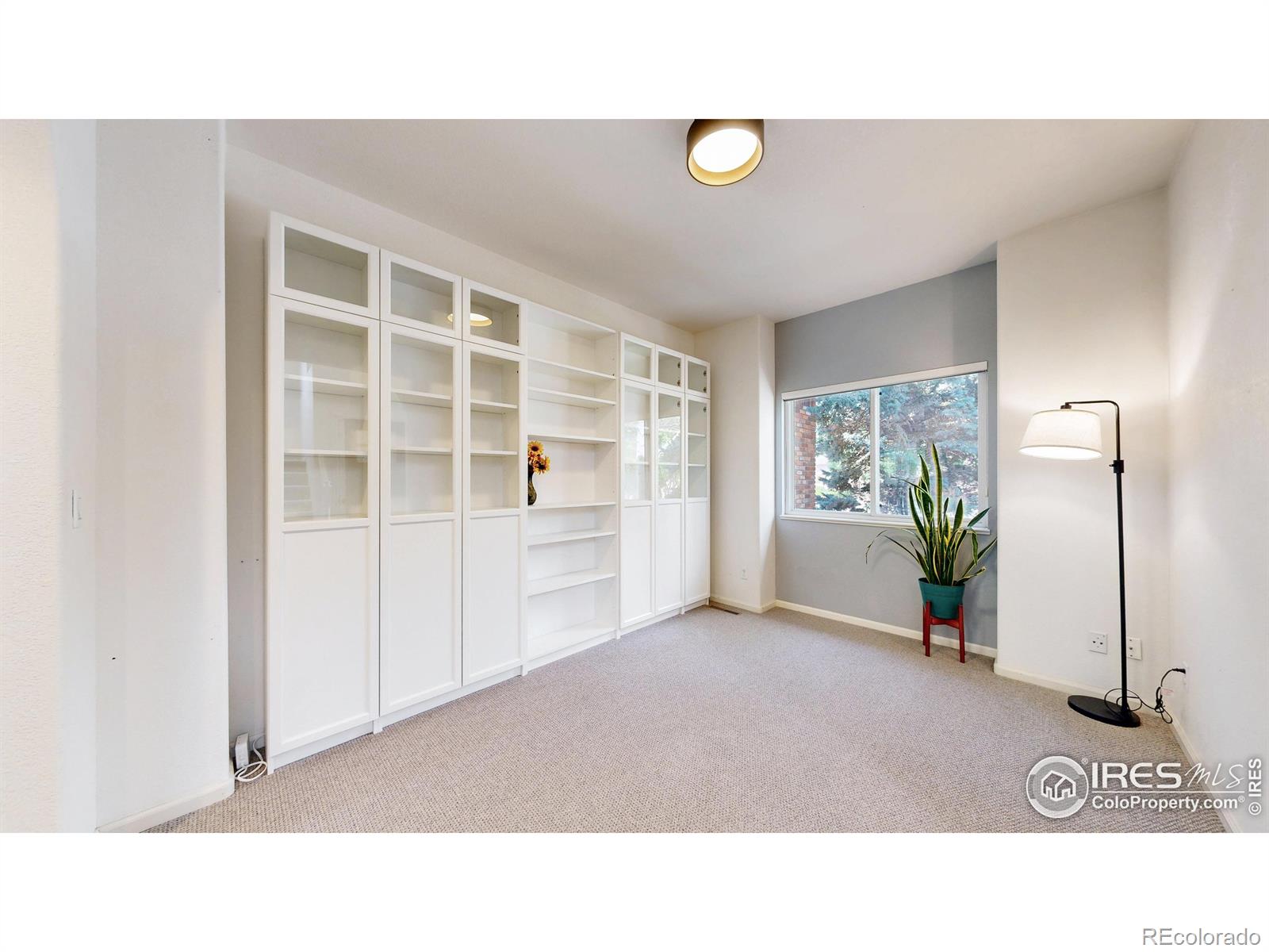 MLS Image #12 for 6706  avondale road,fort collins, Colorado