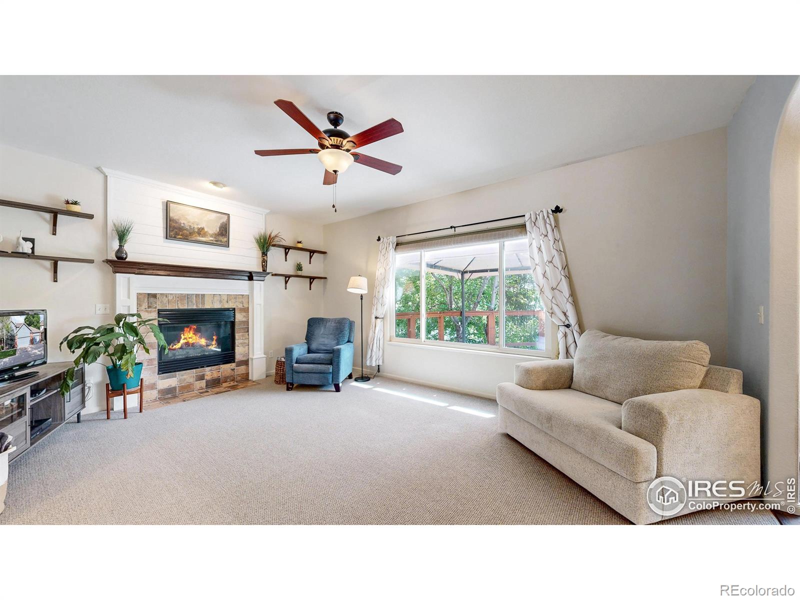 MLS Image #3 for 6706  avondale road,fort collins, Colorado