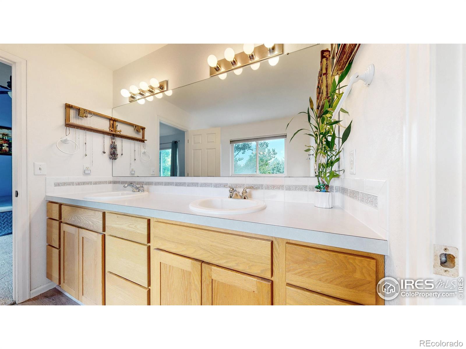 MLS Image #33 for 6706  avondale road,fort collins, Colorado