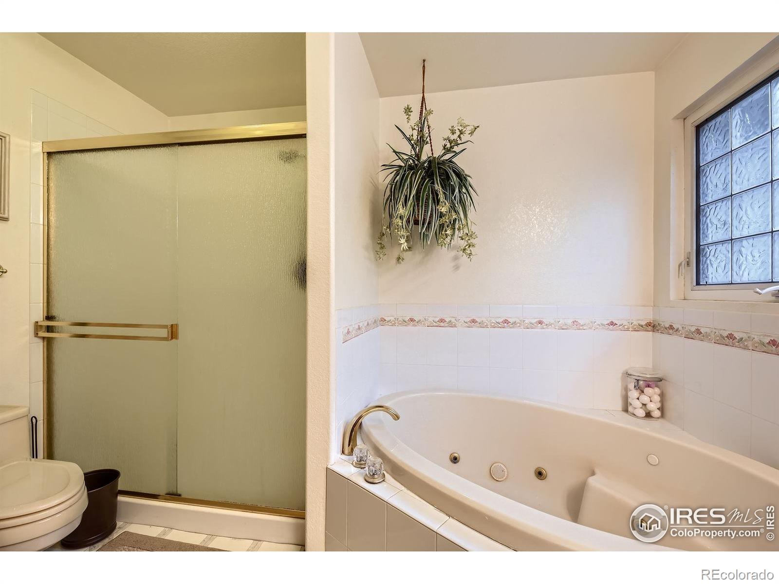MLS Image #12 for 1121  country acres court,johnstown, Colorado