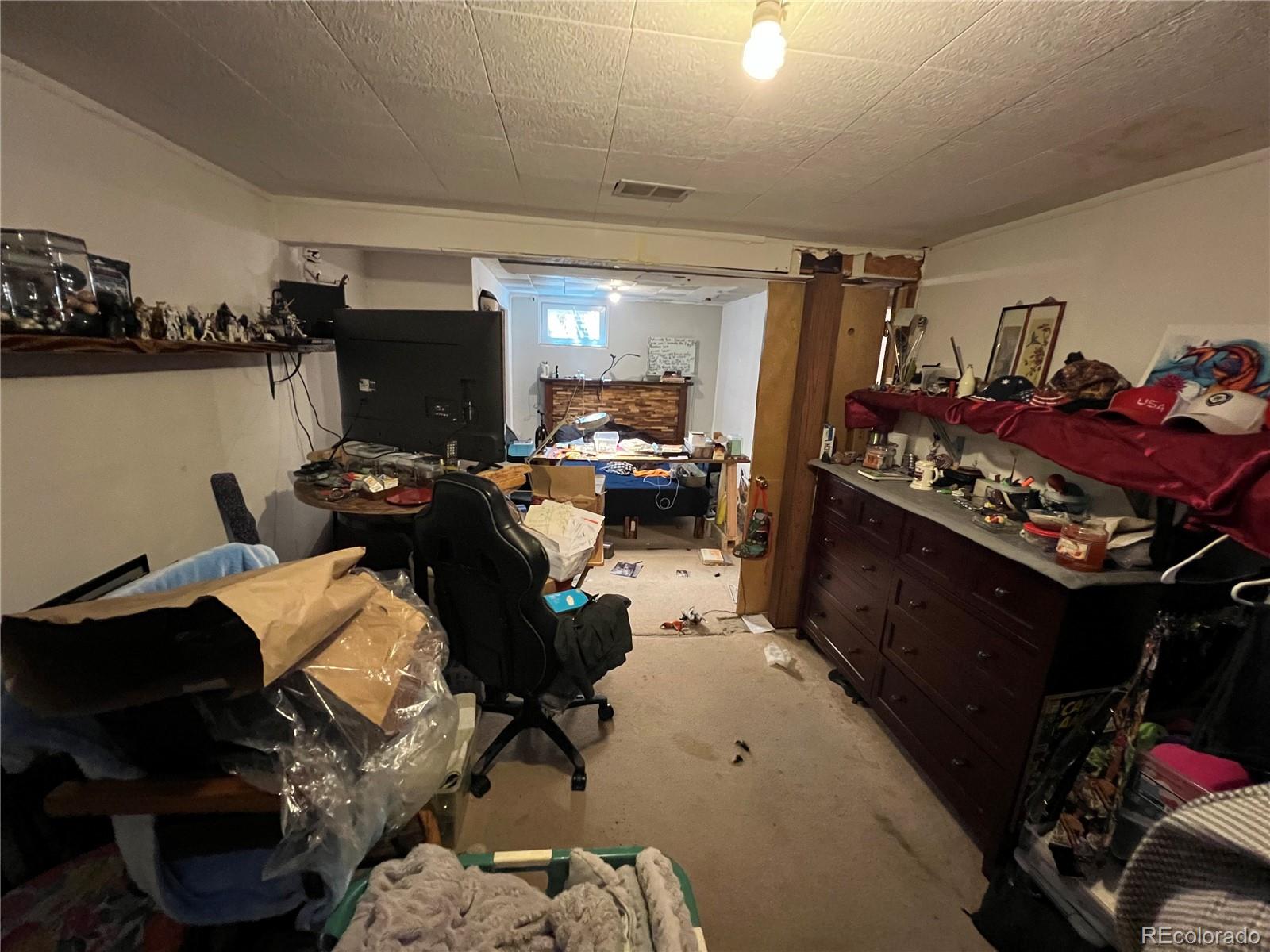 MLS Image #13 for 8741  faraday street,denver, Colorado