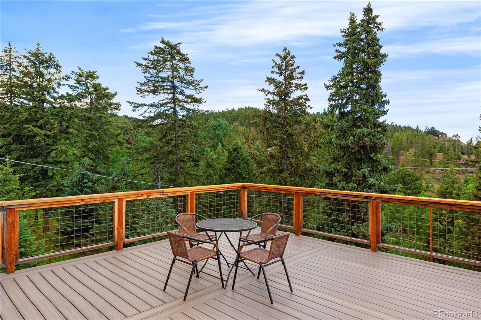 MLS Image #26 for 6773  snowshoe trail,evergreen, Colorado