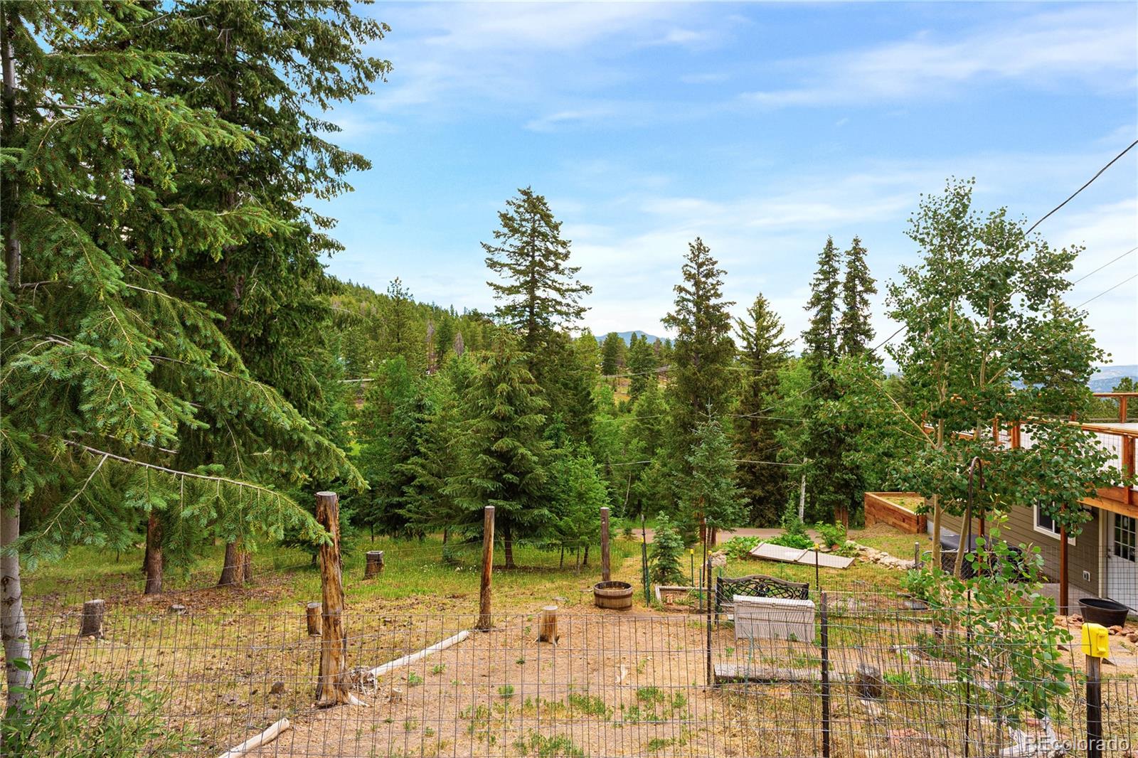 MLS Image #38 for 6773  snowshoe trail,evergreen, Colorado