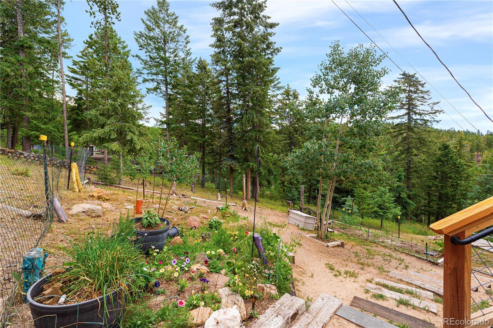MLS Image #39 for 6773  snowshoe trail,evergreen, Colorado