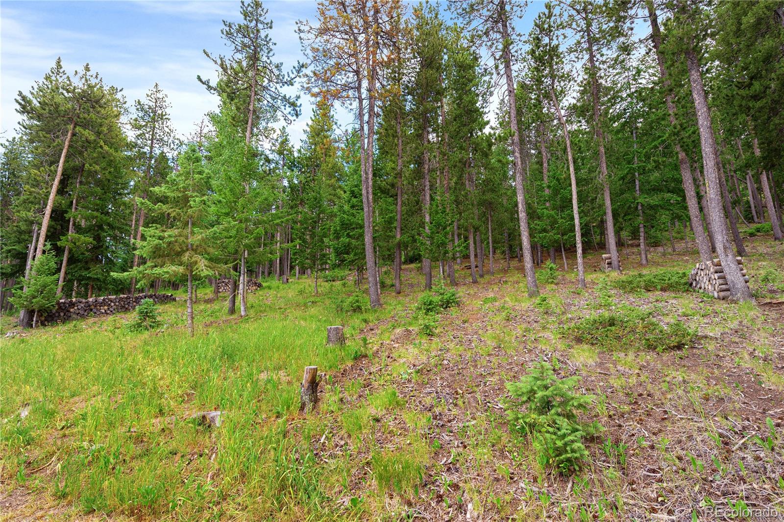 MLS Image #40 for 6773  snowshoe trail,evergreen, Colorado