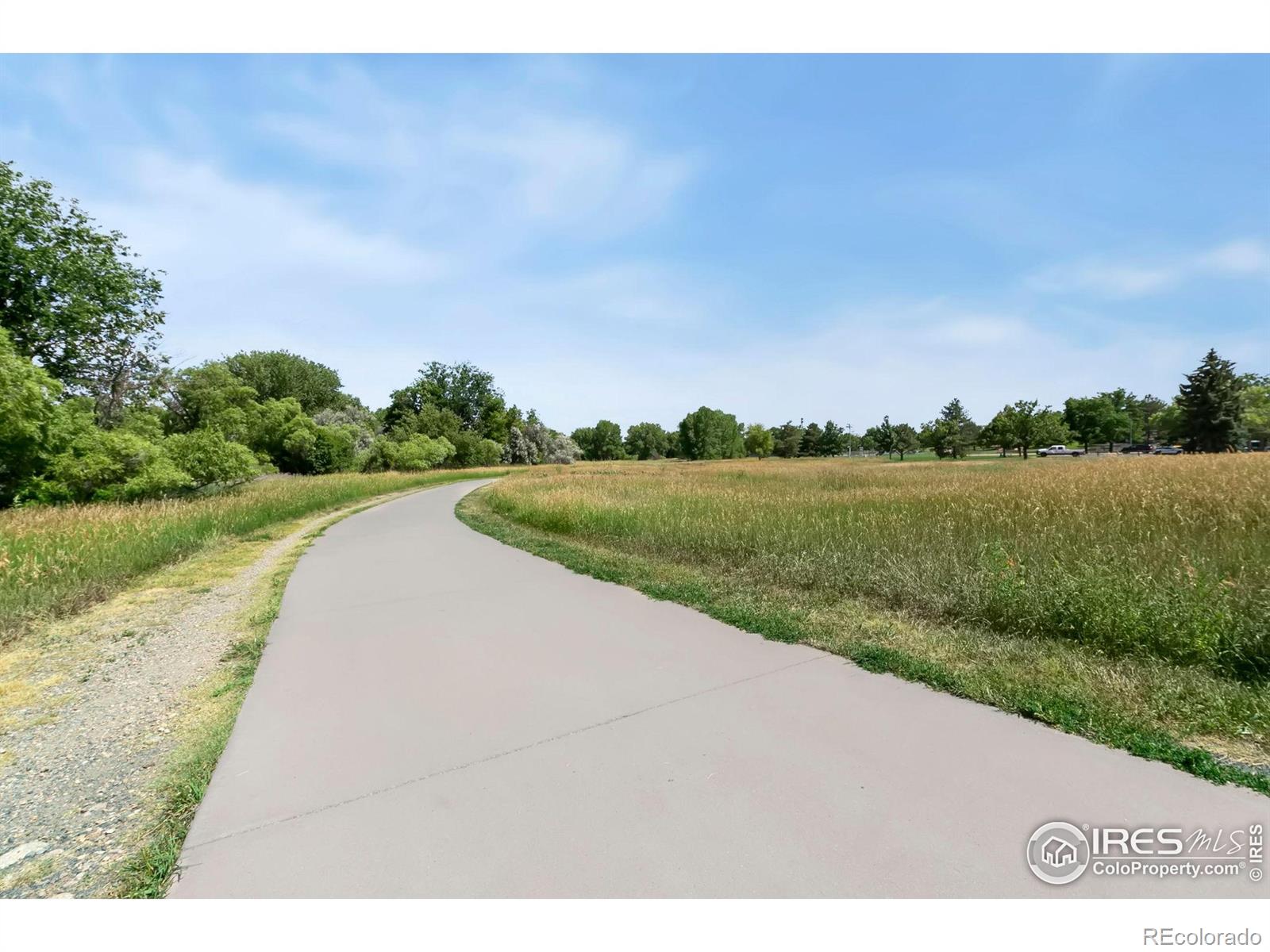 MLS Image #20 for 520 n sherwood street,fort collins, Colorado