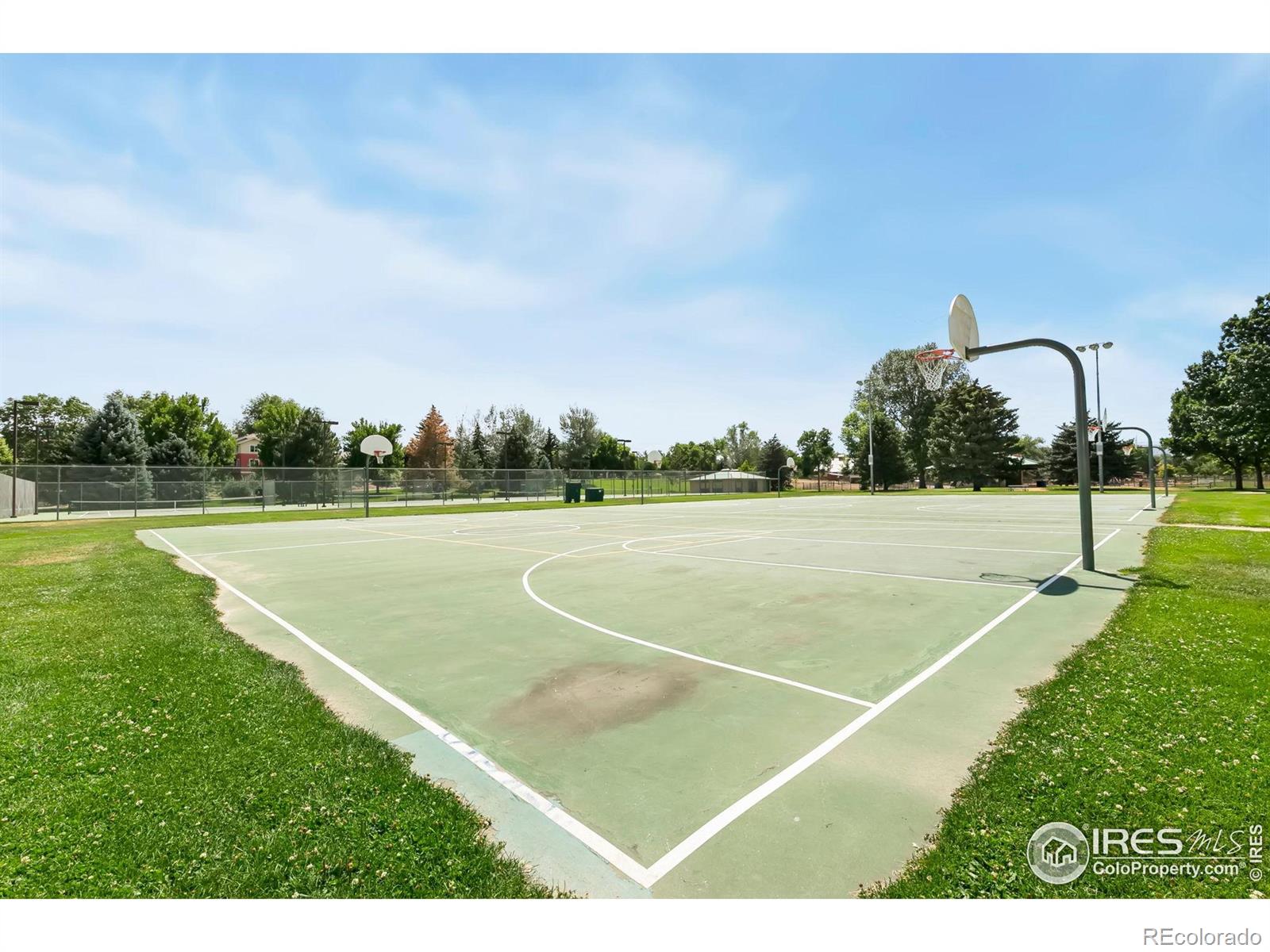 MLS Image #21 for 520 n sherwood street,fort collins, Colorado