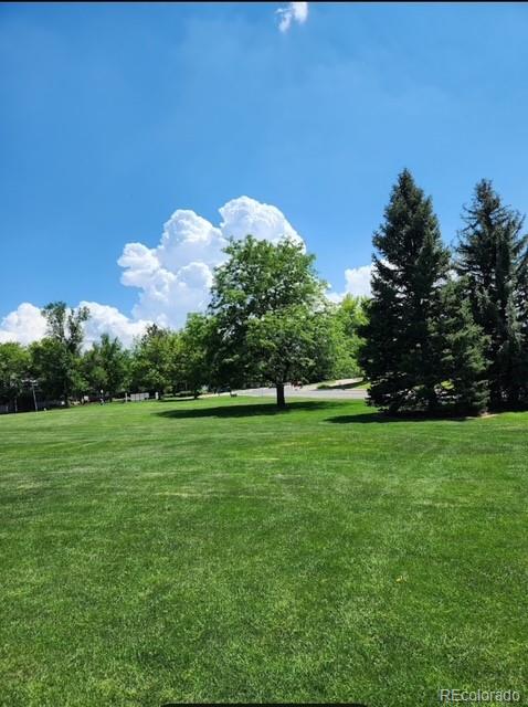 MLS Image #32 for 3127 e long circle,centennial, Colorado