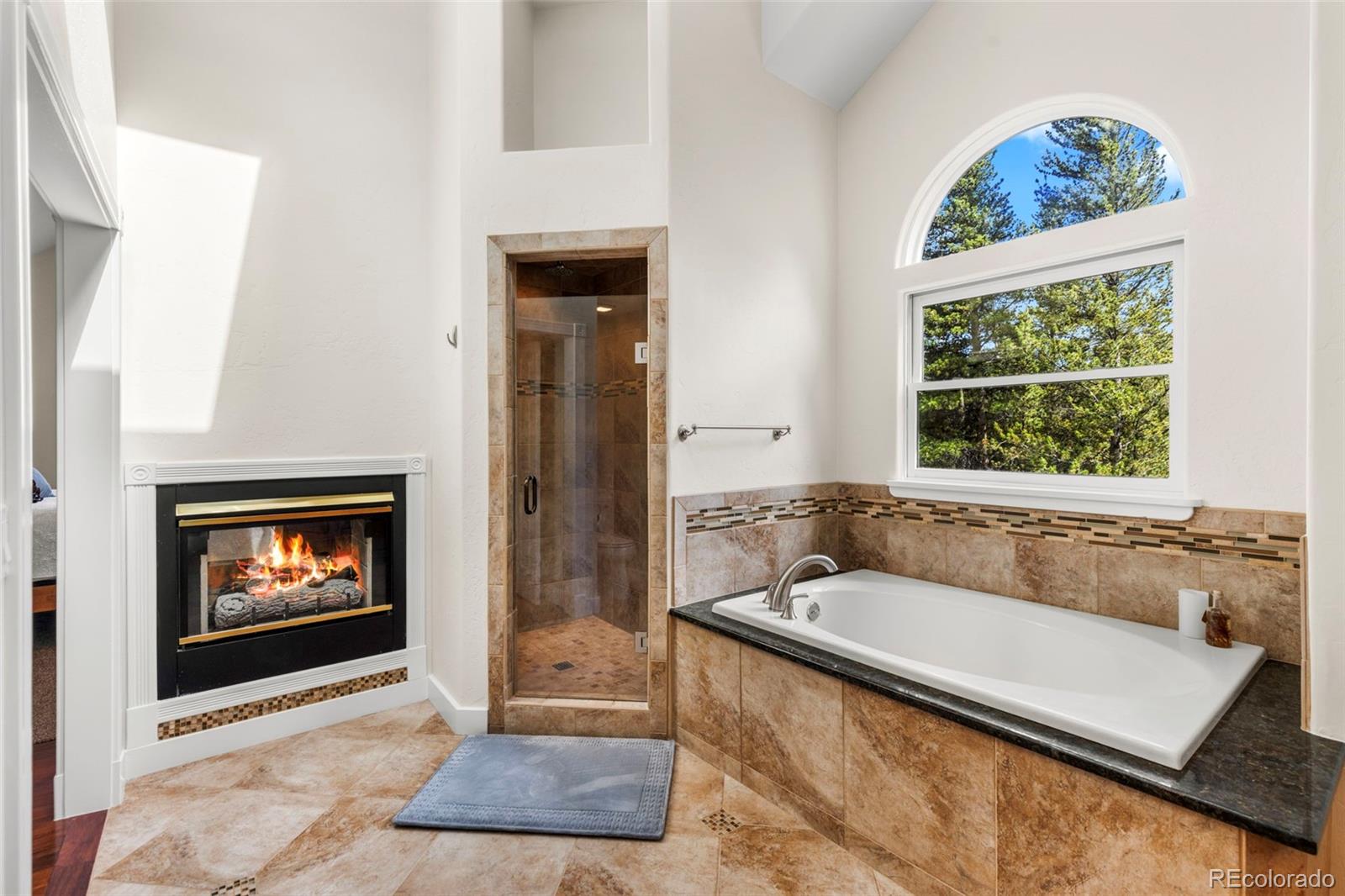MLS Image #25 for 1816  gold drive,leadville, Colorado