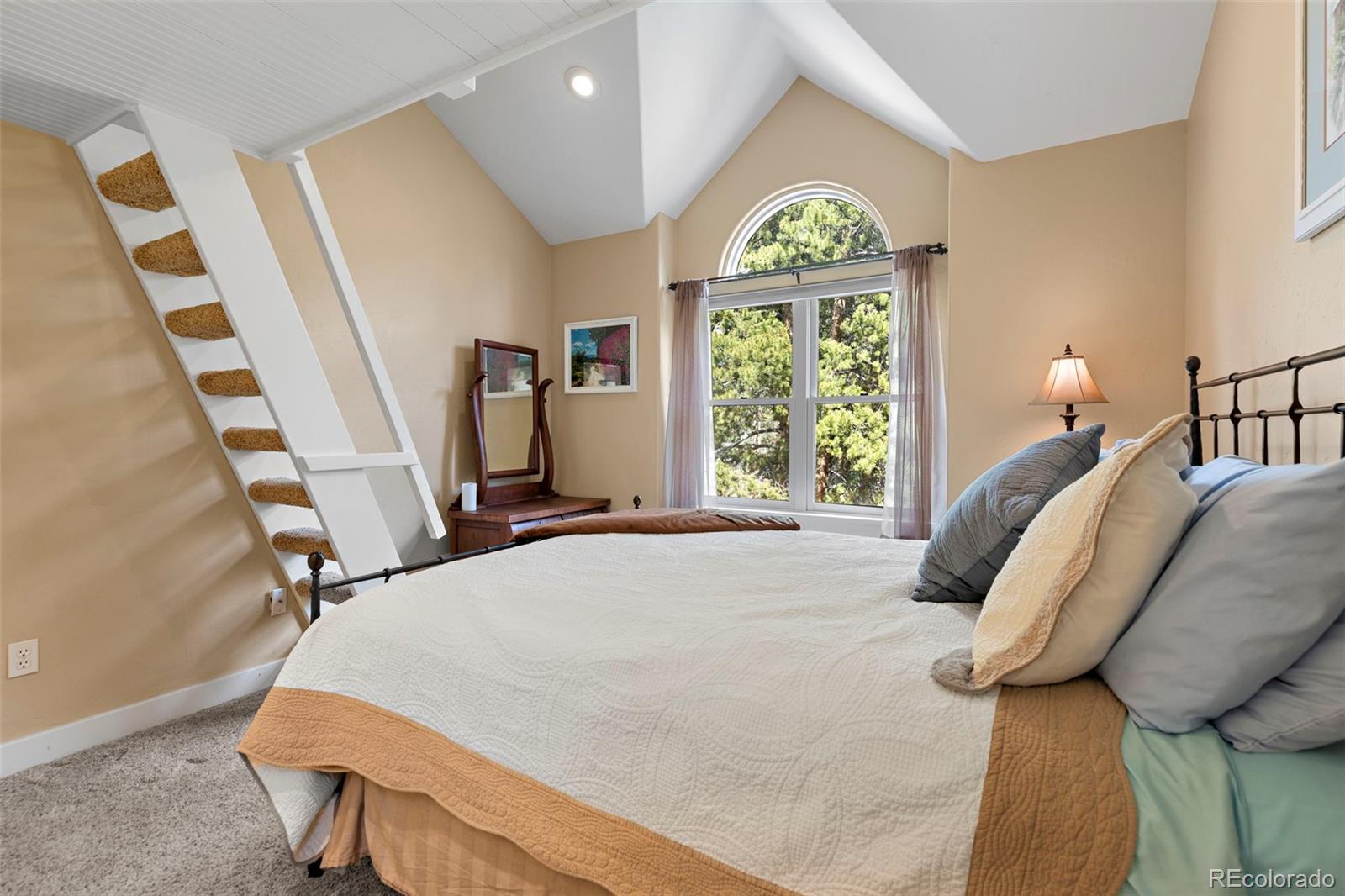 MLS Image #27 for 1816  gold drive,leadville, Colorado