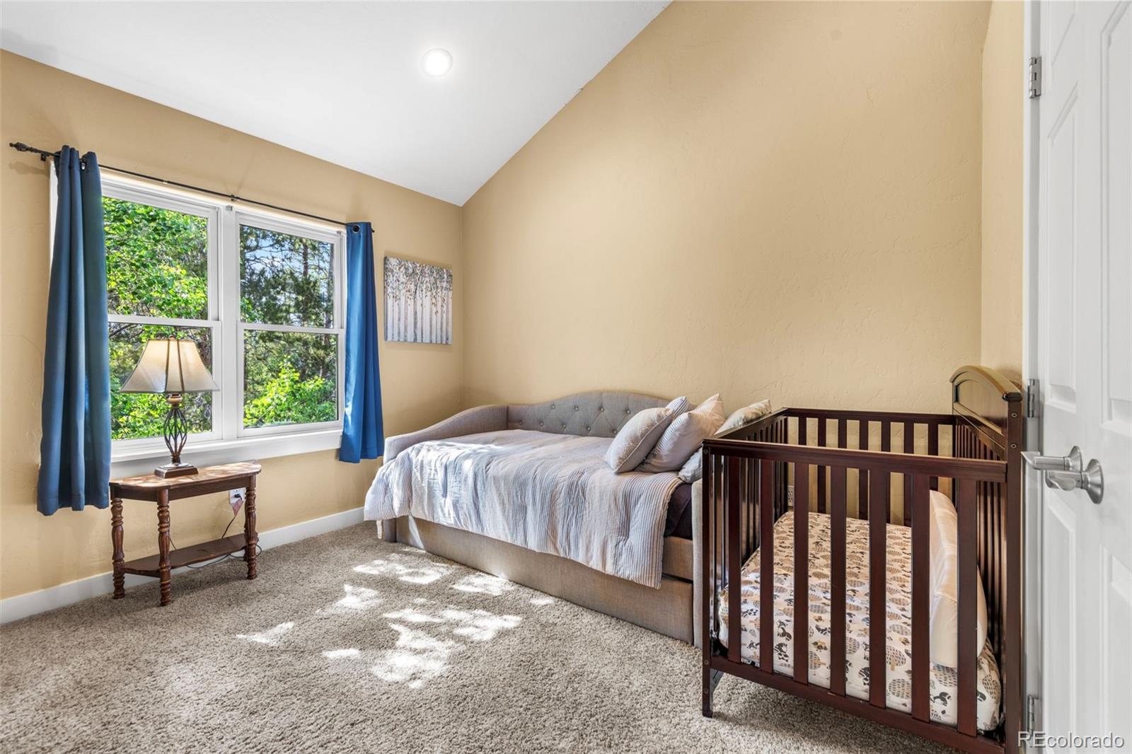 MLS Image #29 for 1816  gold drive,leadville, Colorado