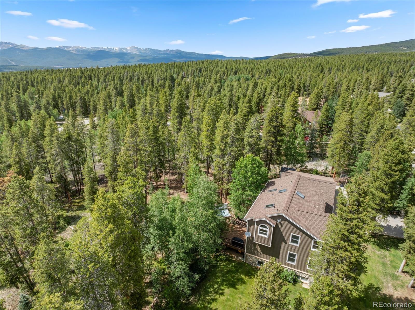 MLS Image #44 for 1816  gold drive,leadville, Colorado
