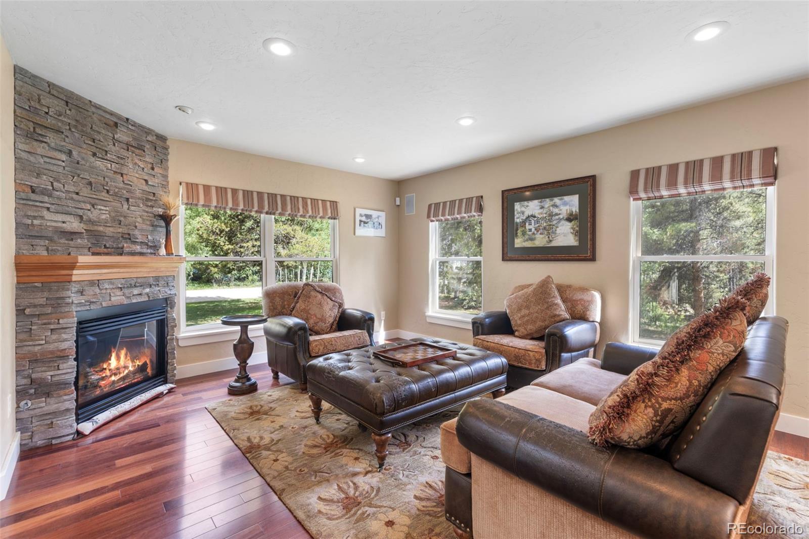 MLS Image #6 for 1816  gold drive,leadville, Colorado