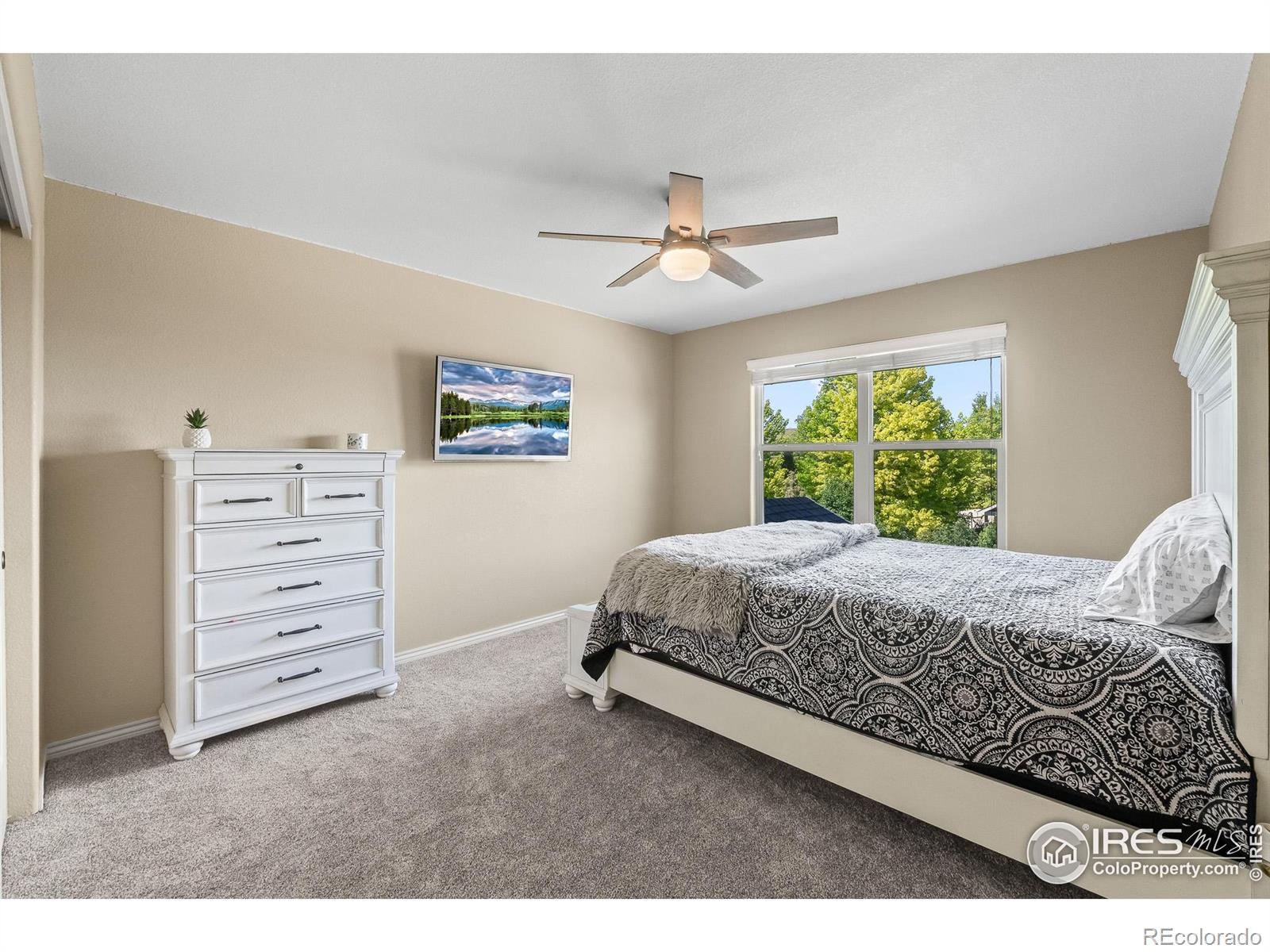 MLS Image #23 for 5504  fairmount drive,windsor, Colorado