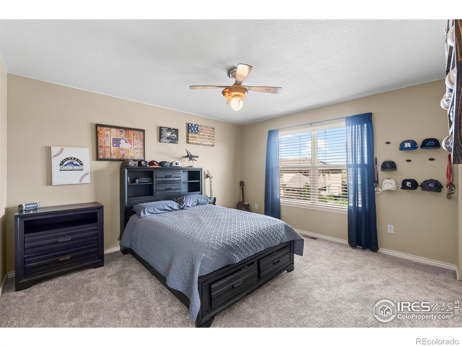 MLS Image #24 for 5504  fairmount drive,windsor, Colorado