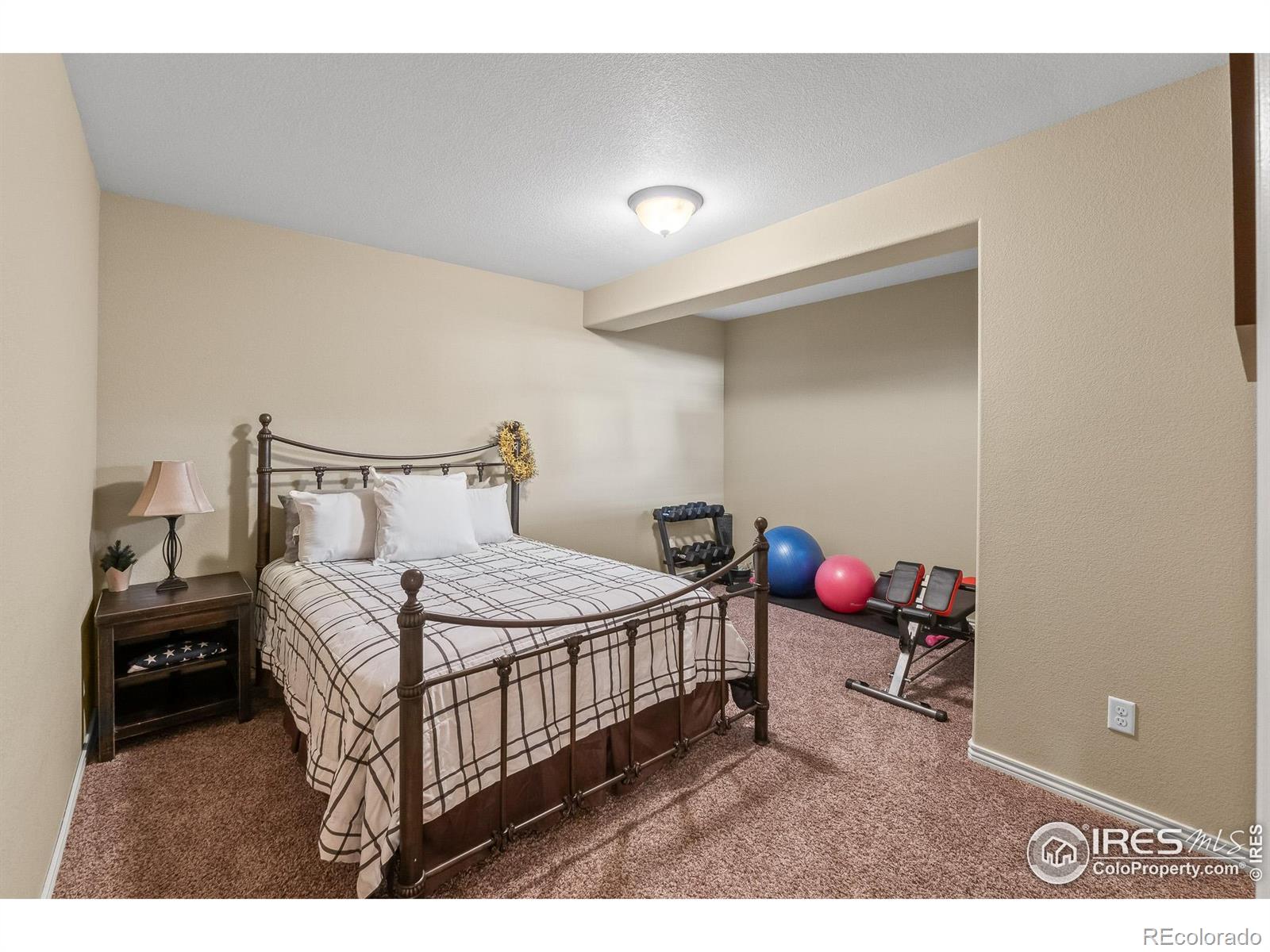 MLS Image #29 for 5504  fairmount drive,windsor, Colorado