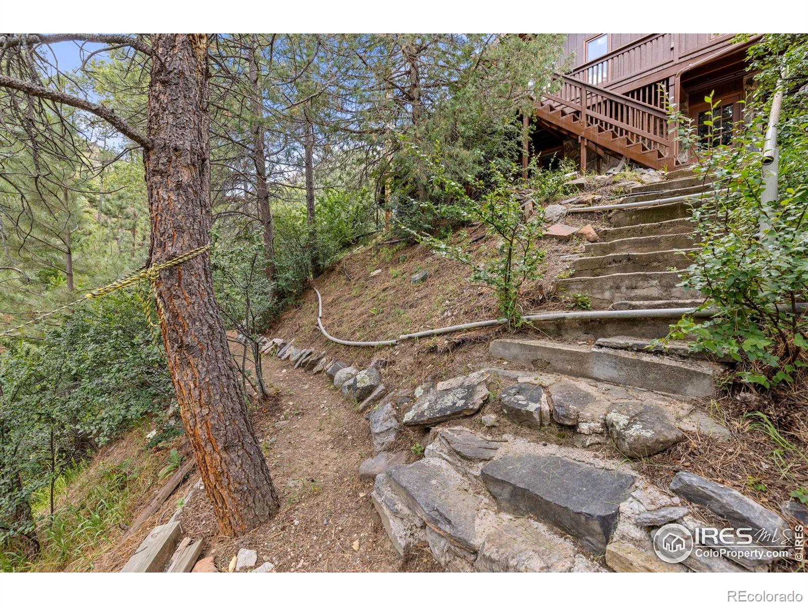 MLS Image #33 for 31  kings canyon road,bellvue, Colorado