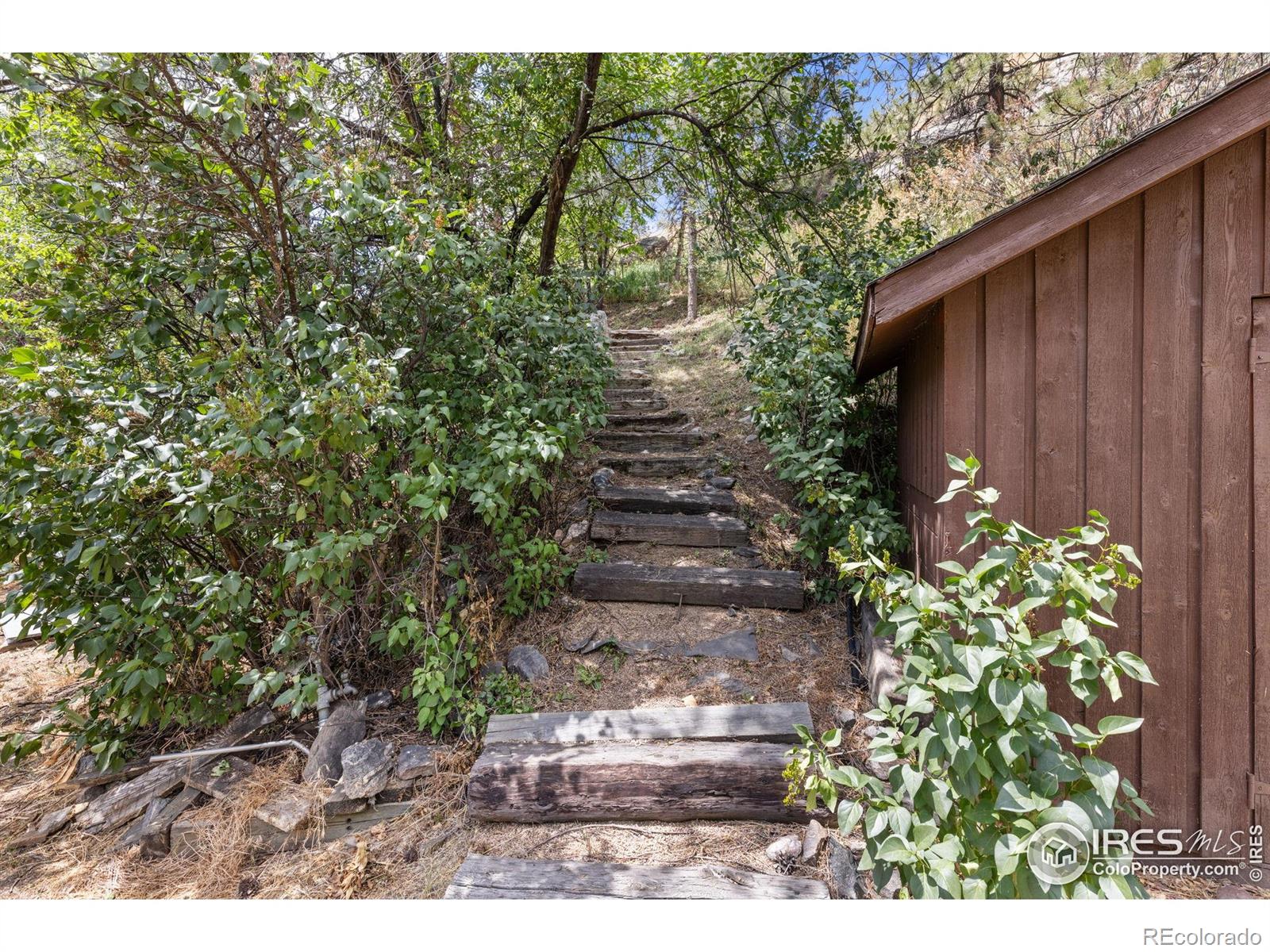 MLS Image #34 for 31  kings canyon road,bellvue, Colorado