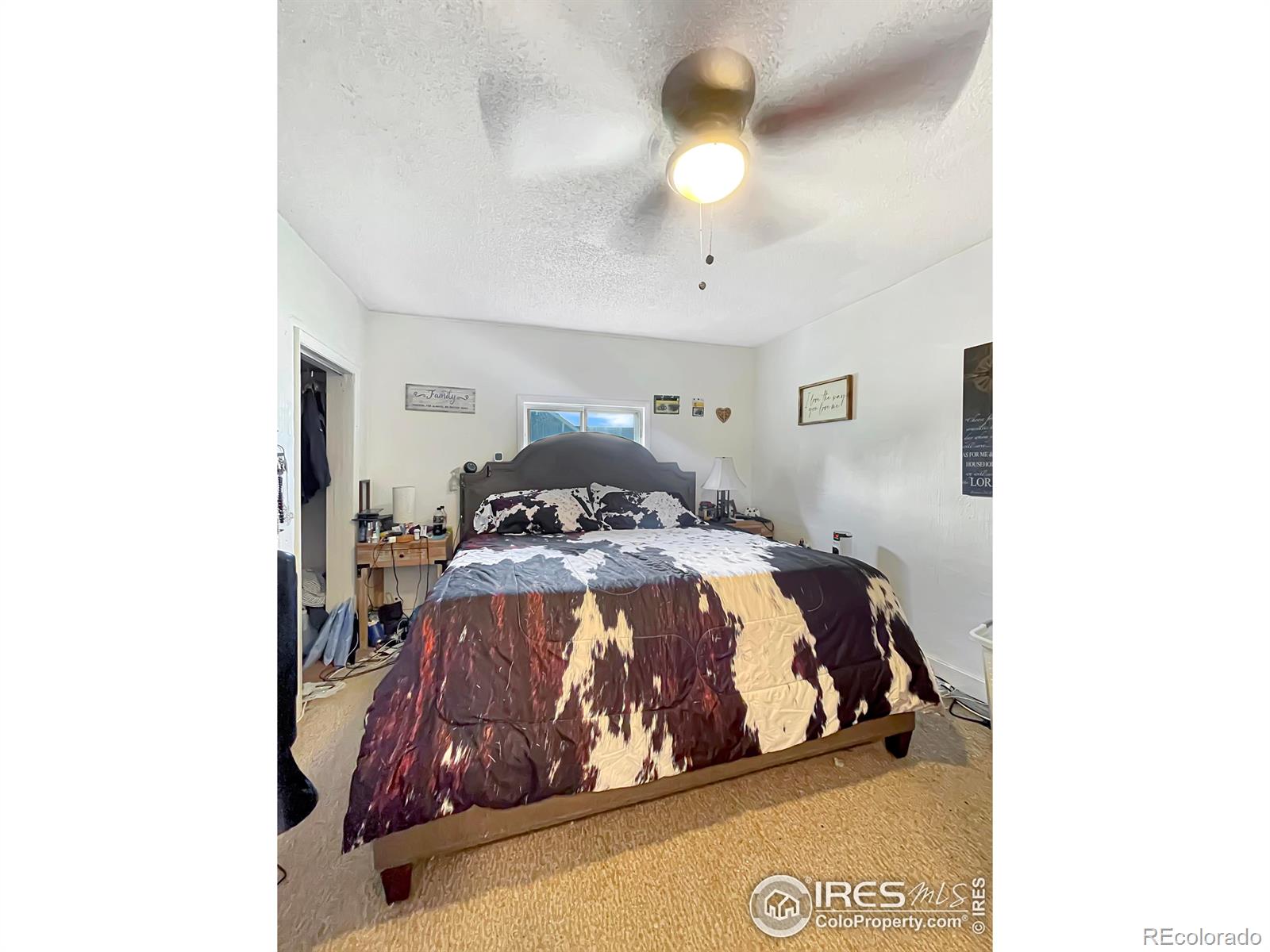 MLS Image #6 for 329 s wynona avenue,holyoke, Colorado