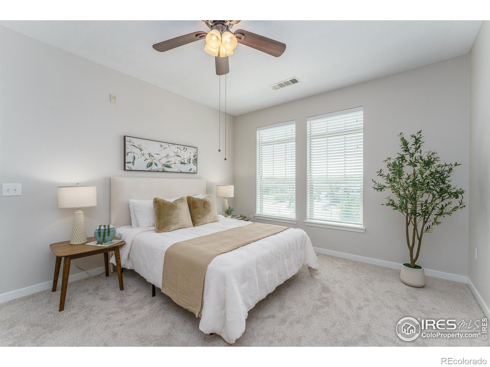 MLS Image #11 for 13456  via varra ,broomfield, Colorado