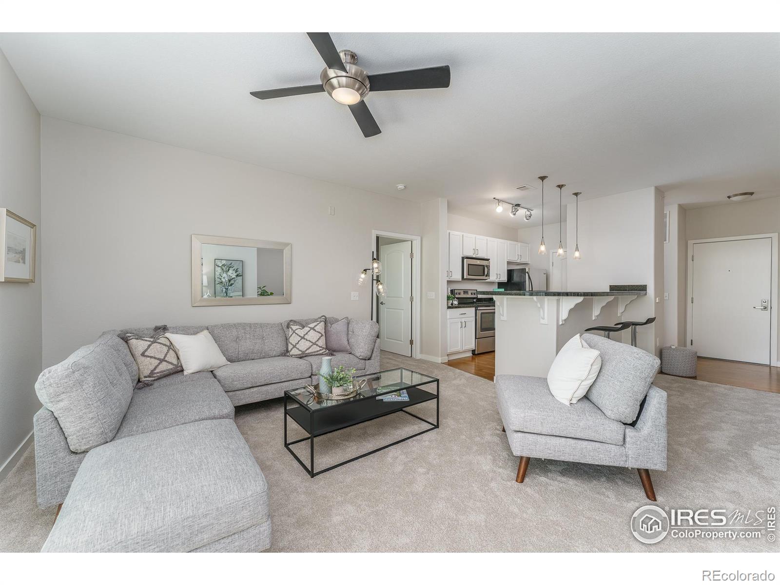 MLS Image #4 for 13456  via varra ,broomfield, Colorado