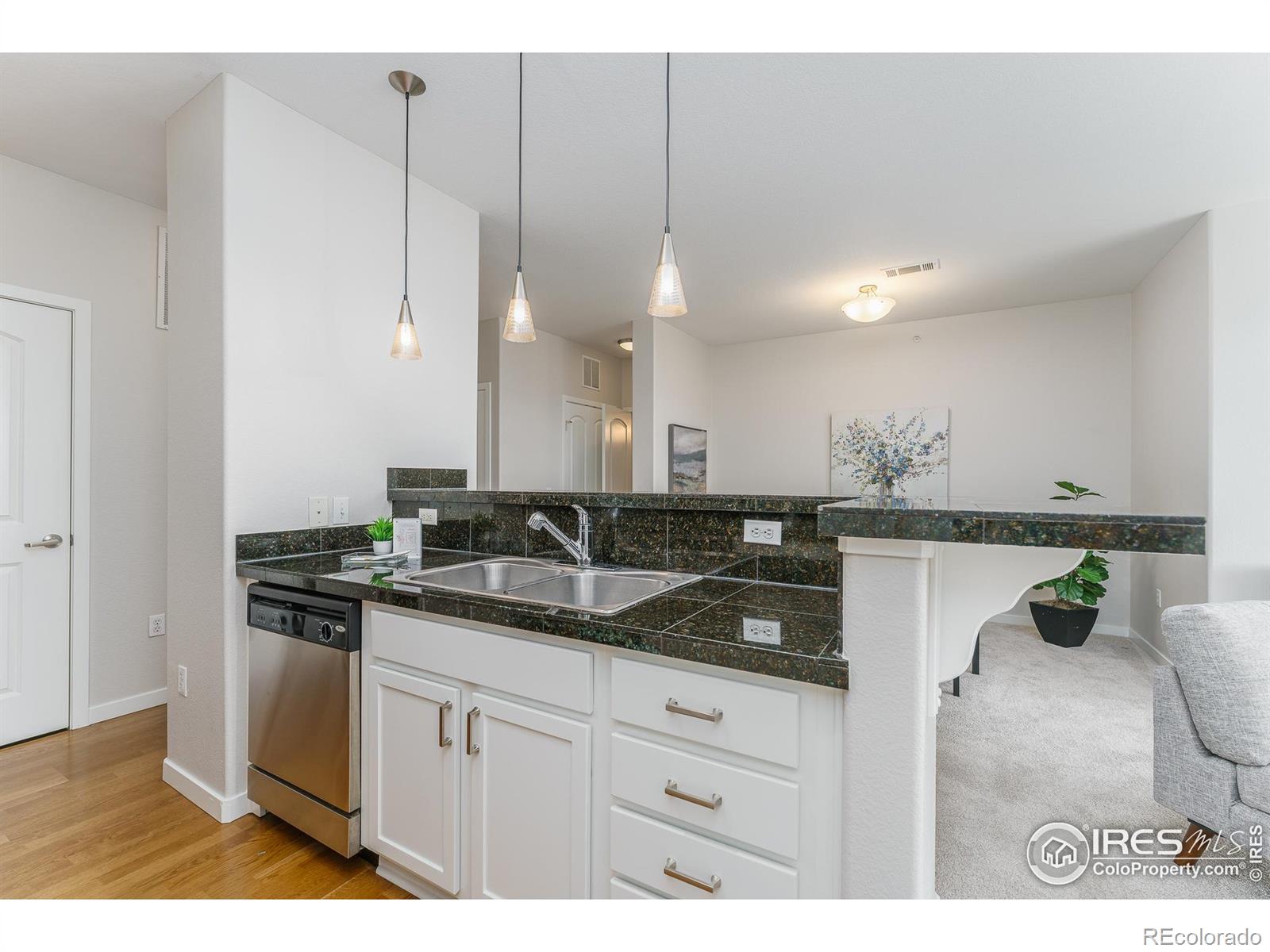 MLS Image #7 for 13456  via varra ,broomfield, Colorado