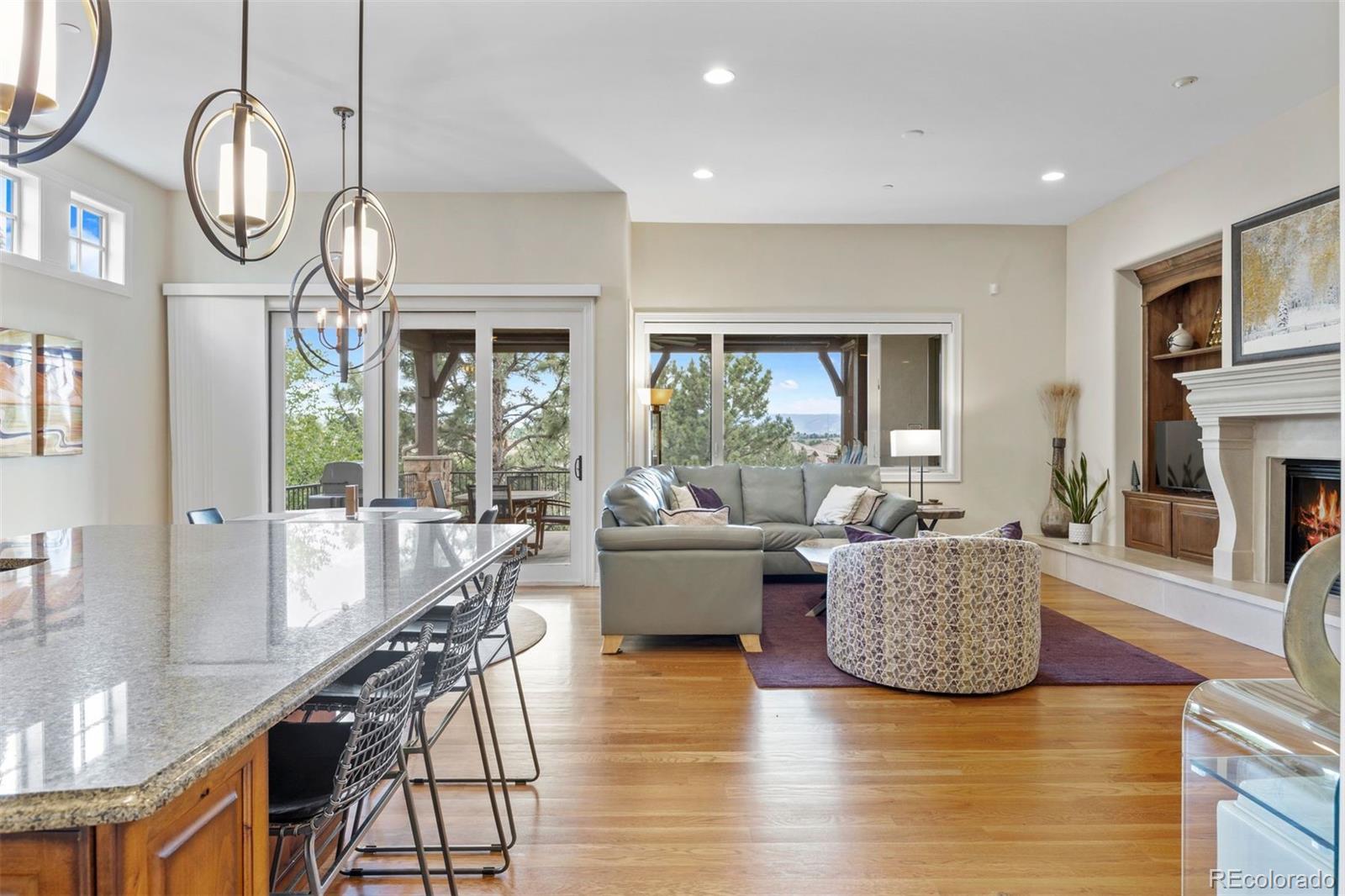 MLS Image #28 for 5144  le duc lane,castle rock, Colorado