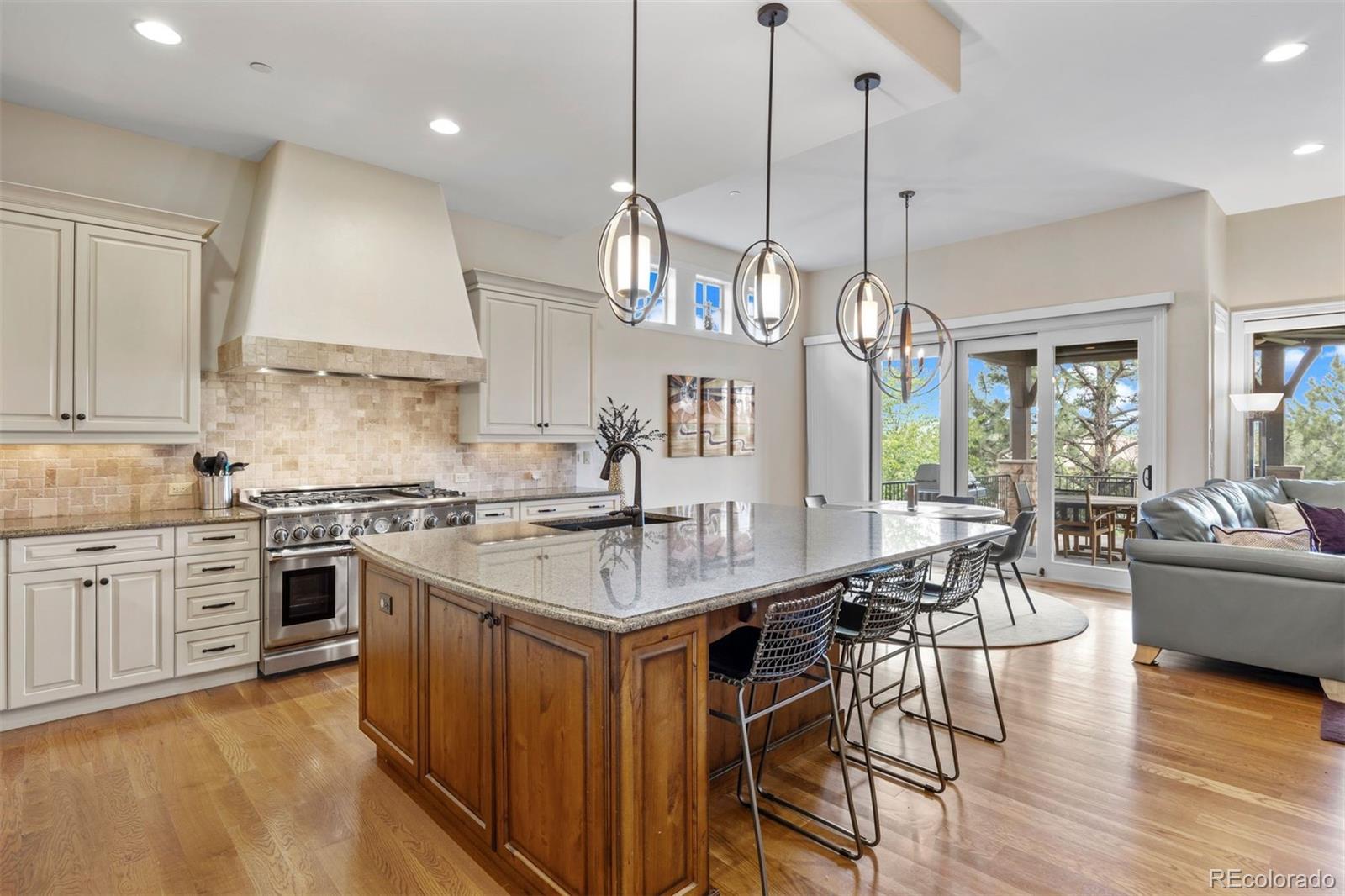 MLS Image #8 for 5144  le duc lane,castle rock, Colorado