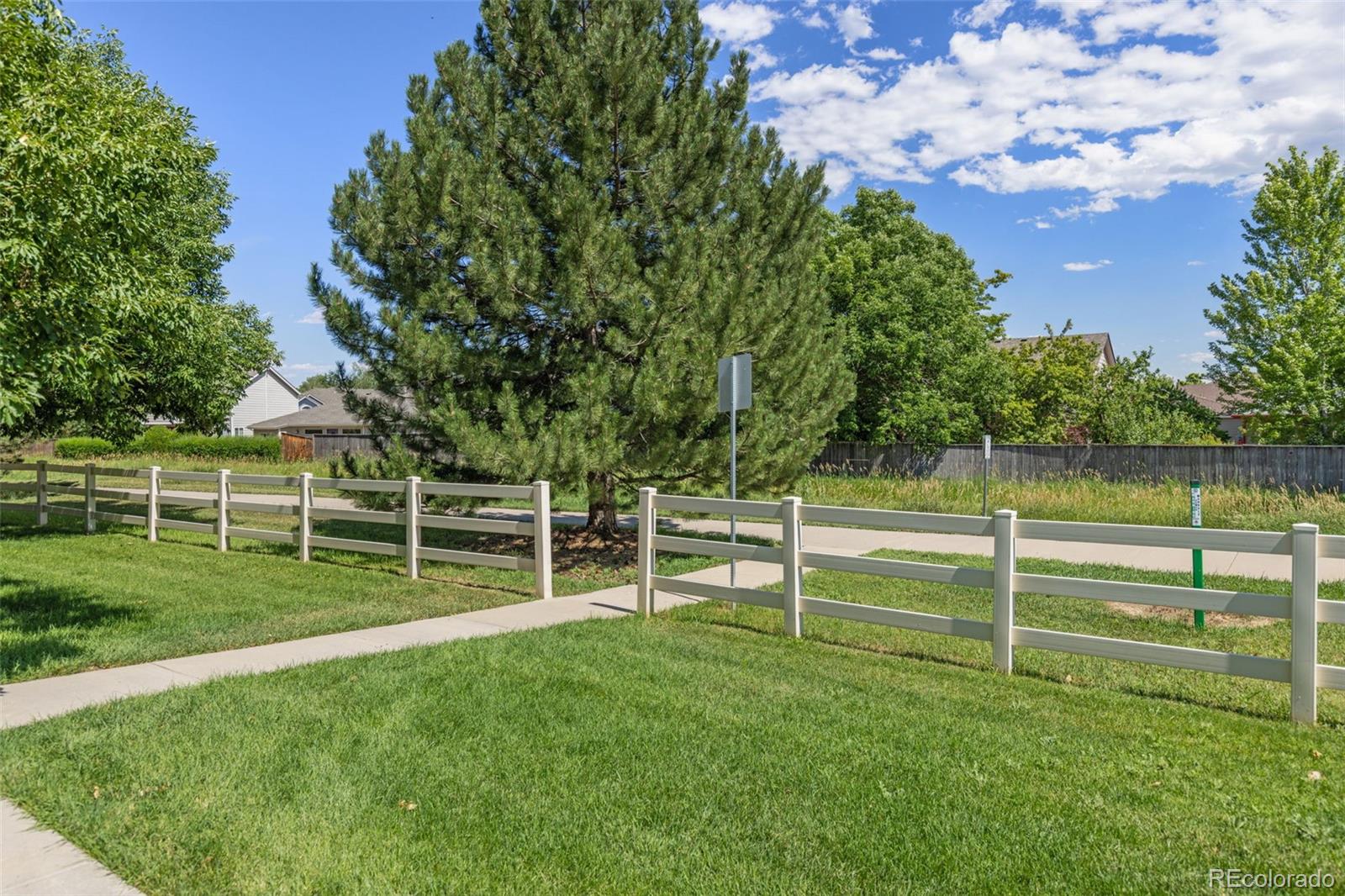 MLS Image #20 for 1158  opal street,broomfield, Colorado