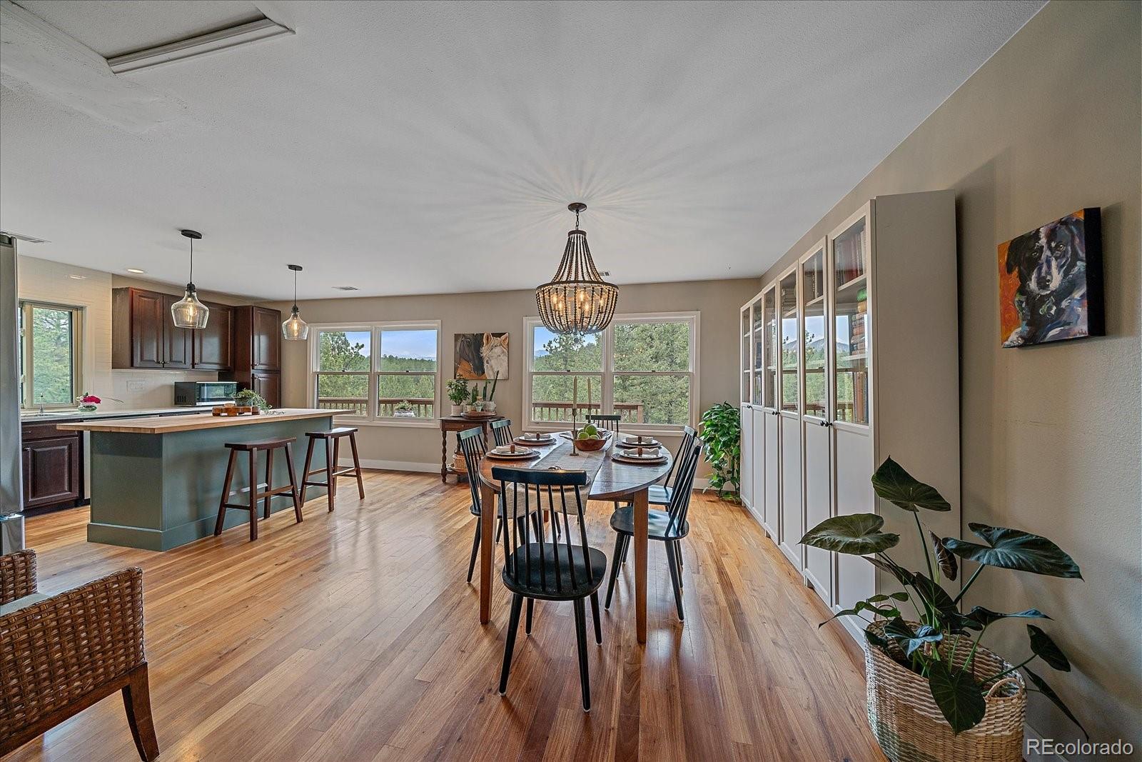 MLS Image #10 for 3645  nova road,pine, Colorado
