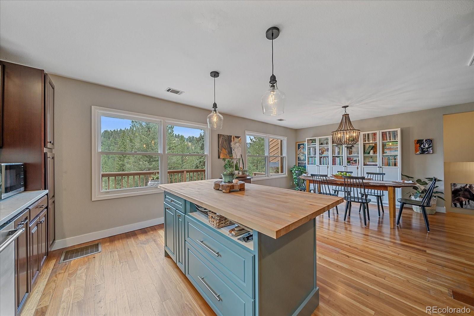 MLS Image #14 for 3645  nova road,pine, Colorado