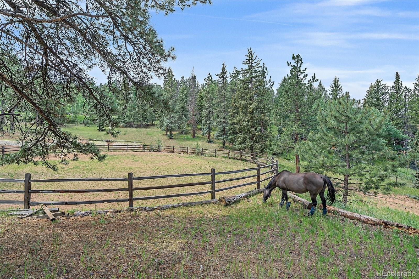 MLS Image #35 for 3645  nova road,pine, Colorado