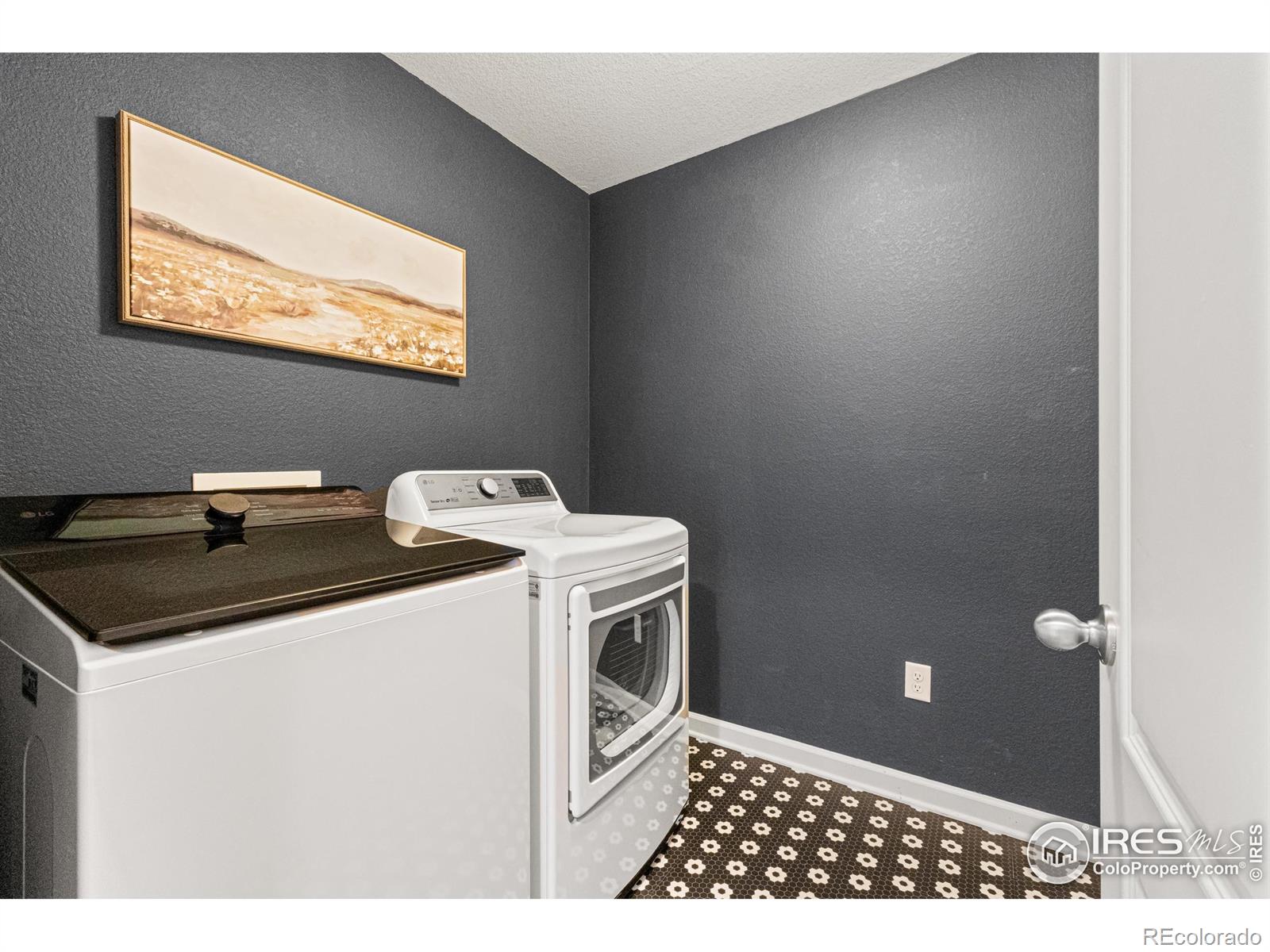 MLS Image #21 for 1585  sorenson drive,windsor, Colorado