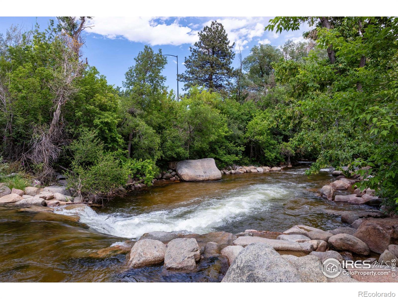 MLS Image #35 for 337  arapahoe avenue,boulder, Colorado