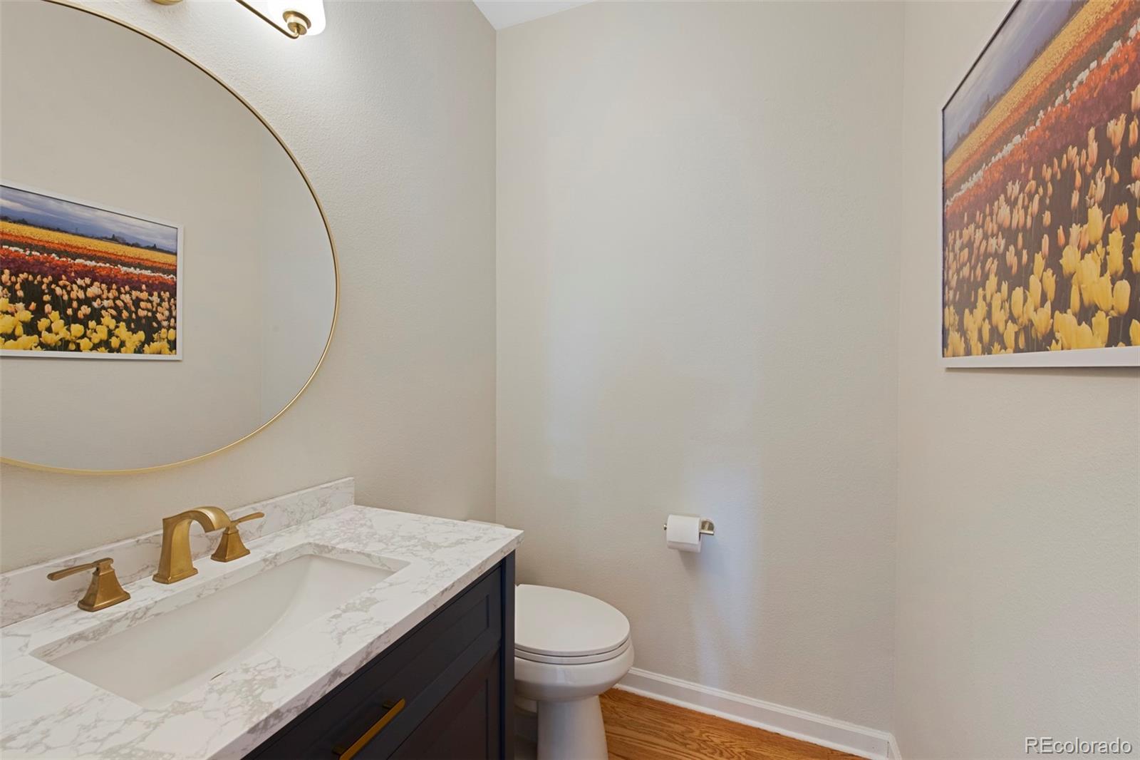 MLS Image #20 for 25  sand cherry ,littleton, Colorado
