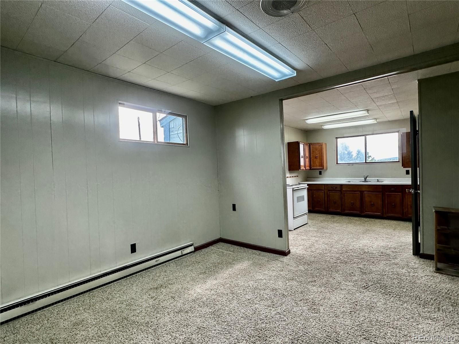 MLS Image #5 for 919  harrison avenue,leadville, Colorado