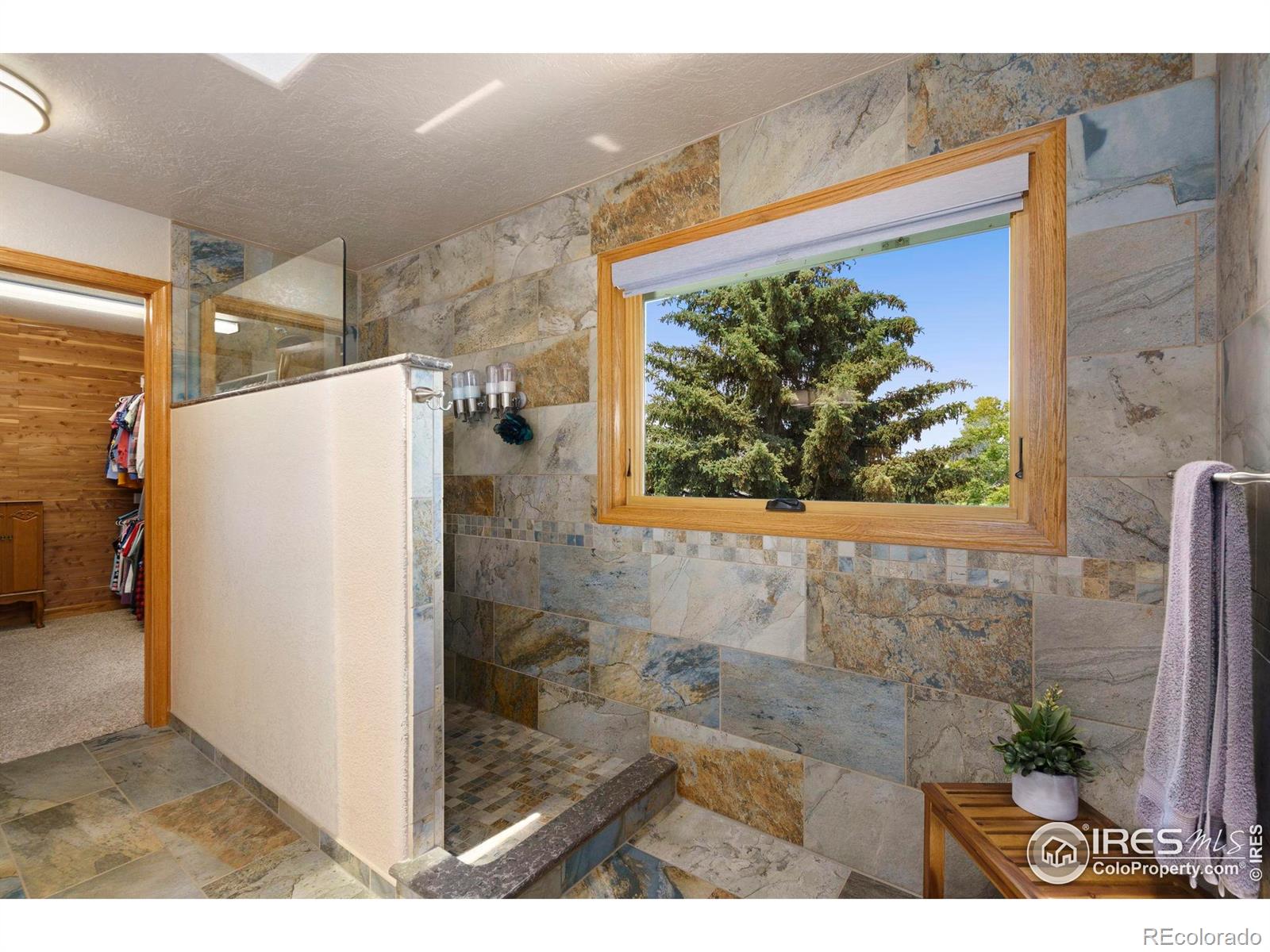 MLS Image #14 for 5114  hogan court,fort collins, Colorado